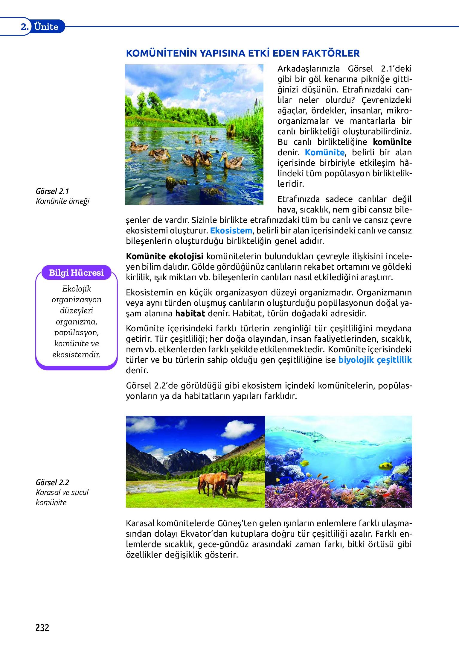 11. Sınıf Meb Yayınları Fen Lisesi Biyoloji Ders Kitabı Sayfa 232 Cevapları 11. Sınıf Meb Yayınları Fen Lisesi Biyoloji Ders Kitabı Sayfa 232 Cevapları