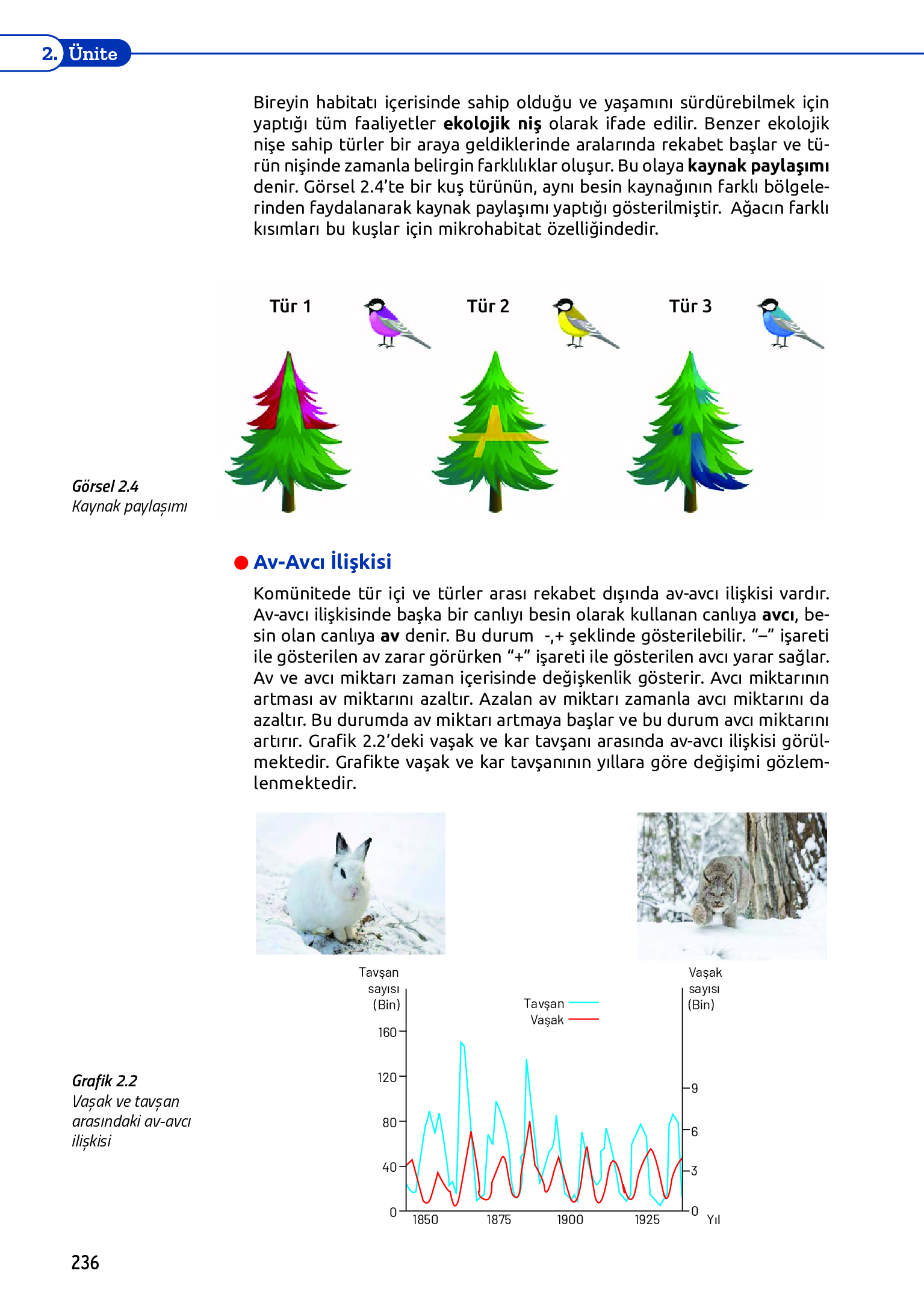 11. Sınıf Meb Yayınları Fen Lisesi Biyoloji Ders Kitabı Sayfa 236 Cevapları 11. Sınıf Meb Yayınları Fen Lisesi Biyoloji Ders Kitabı Sayfa 236 Cevapları