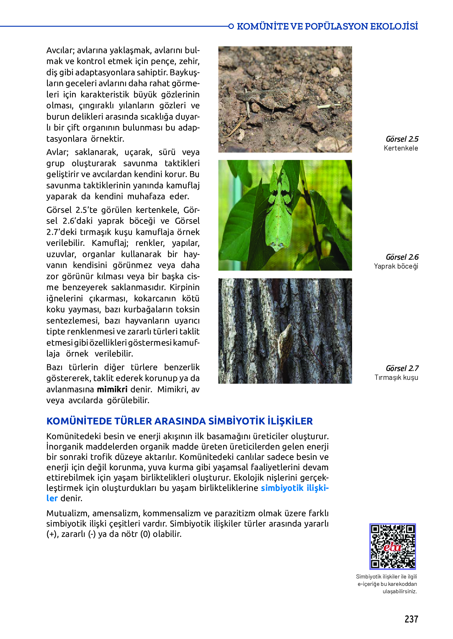 11. Sınıf Meb Yayınları Fen Lisesi Biyoloji Ders Kitabı Sayfa 237 Cevapları
