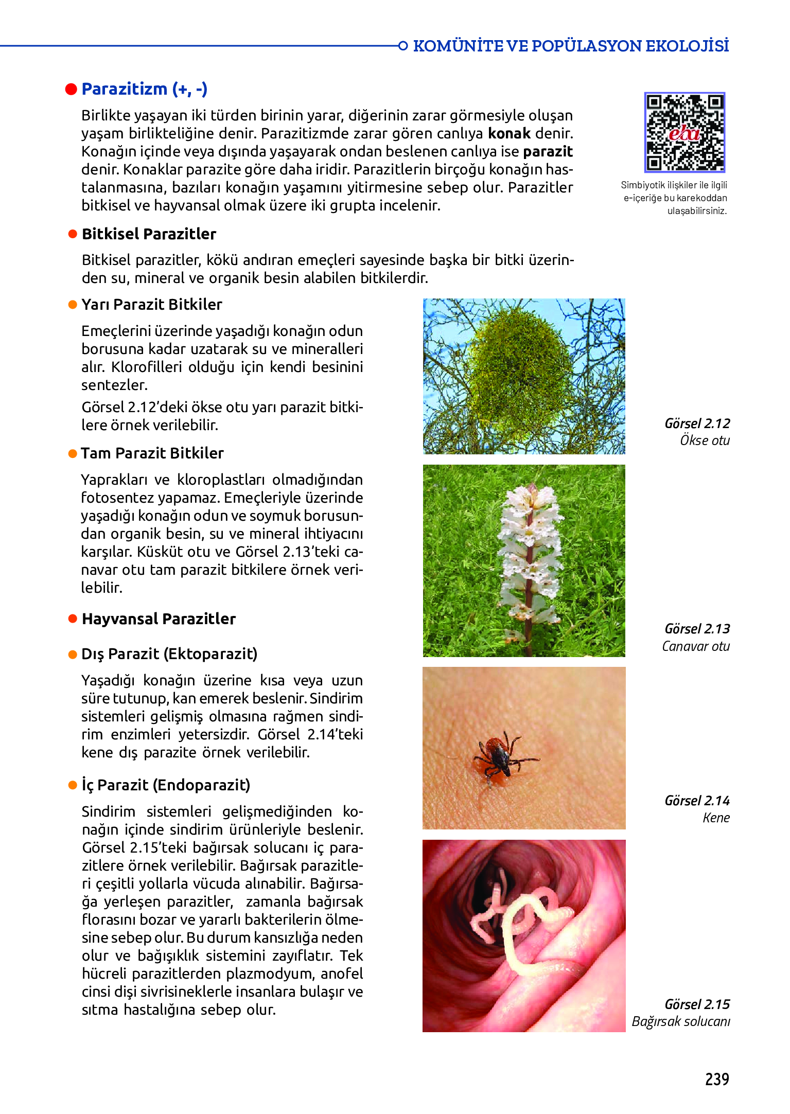 11. Sınıf Meb Yayınları Fen Lisesi Biyoloji Ders Kitabı Sayfa 239 Cevapları