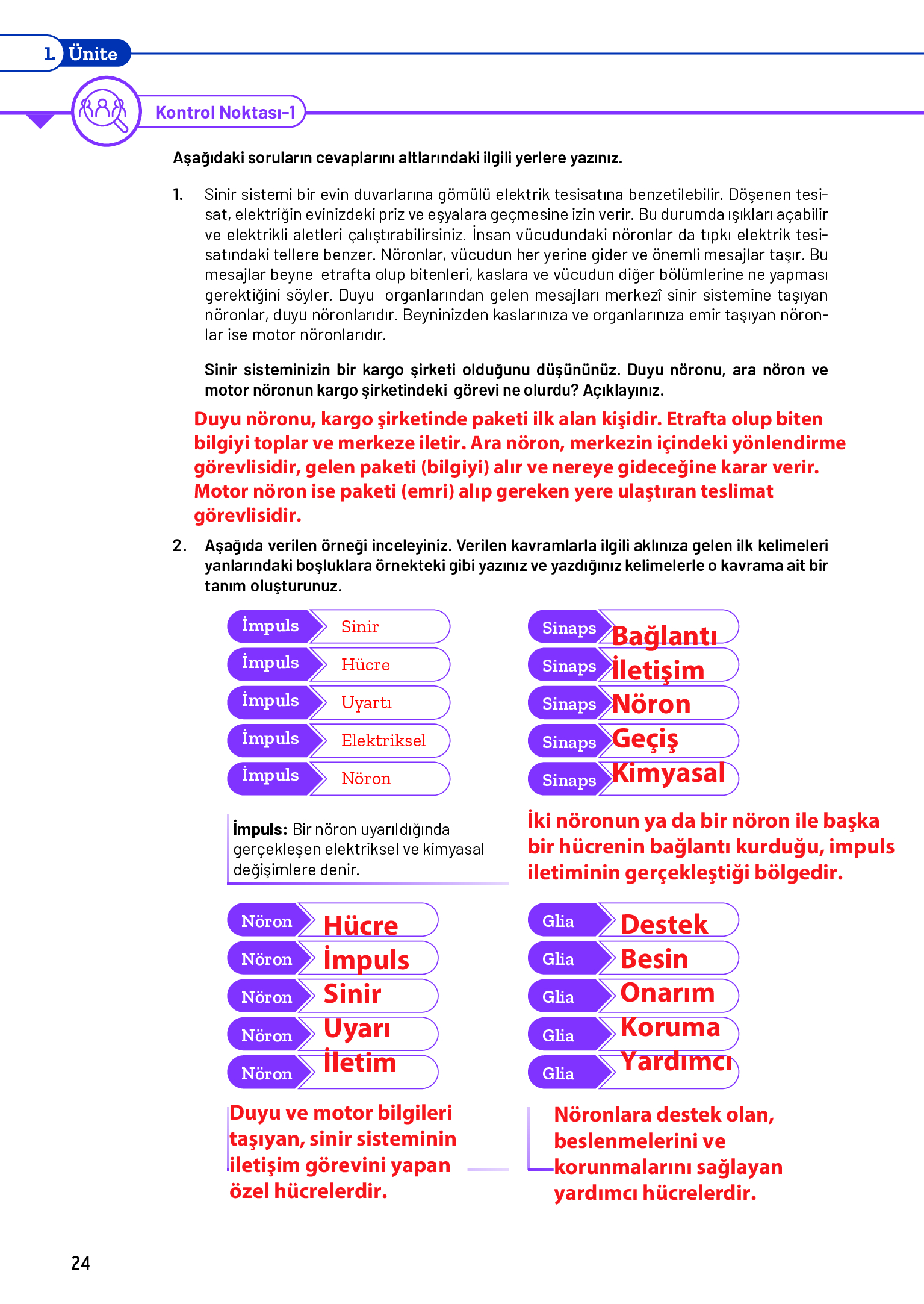 11. Sınıf Meb Yayınları Fen Lisesi Biyoloji Ders Kitabı Sayfa 24 Cevapları