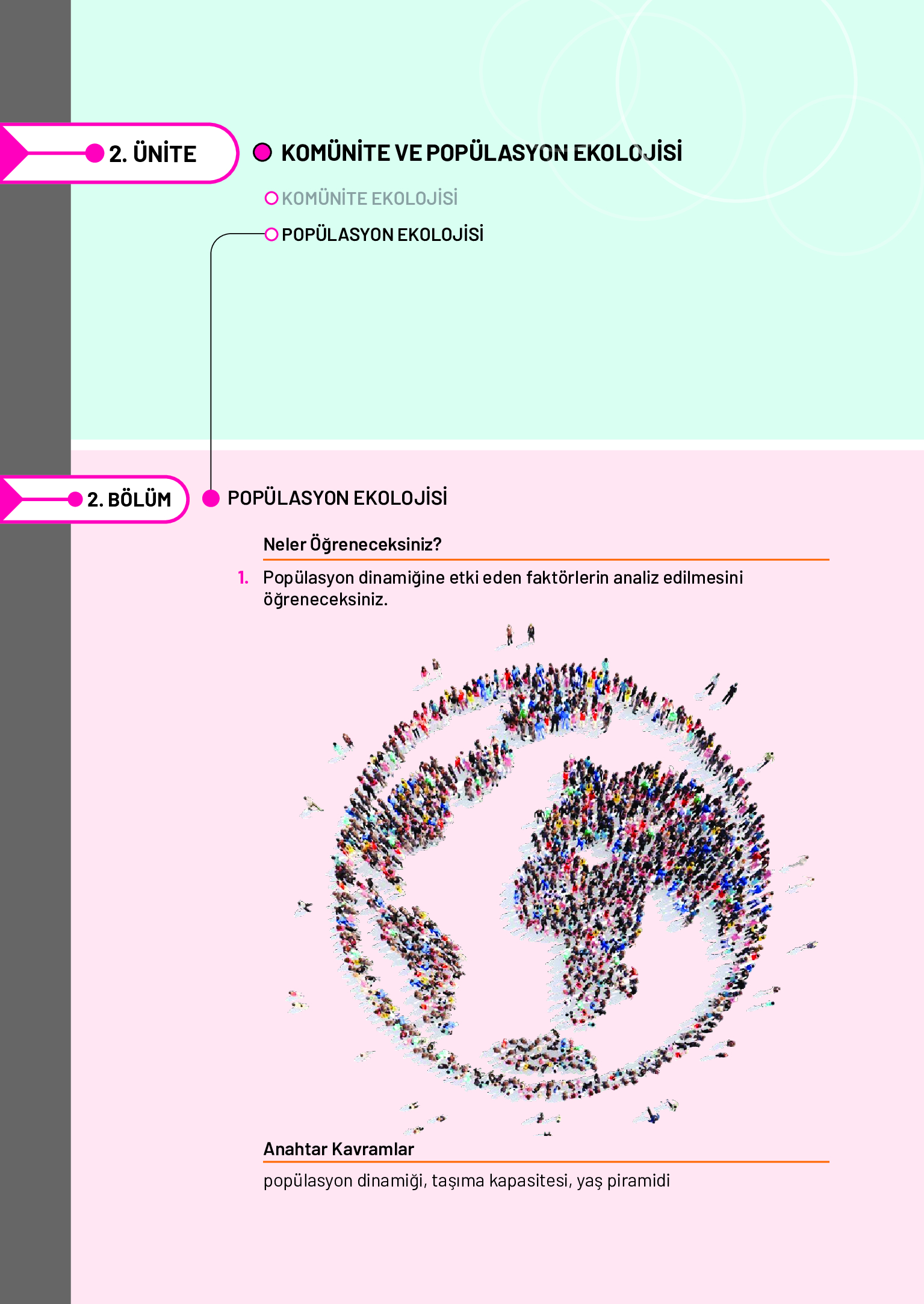 11. Sınıf Meb Yayınları Fen Lisesi Biyoloji Ders Kitabı Sayfa 246 Cevapları