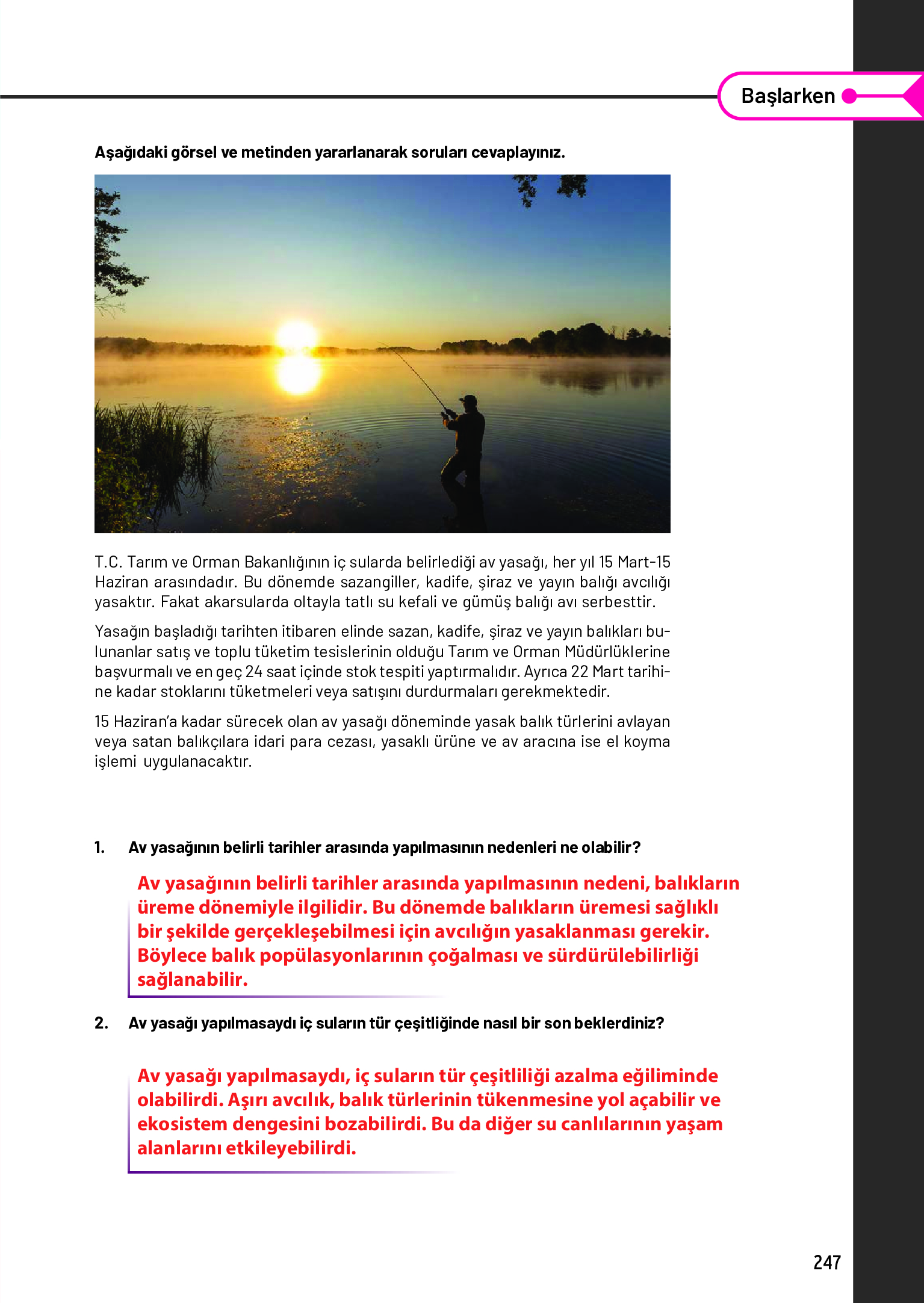 11. Sınıf Meb Yayınları Fen Lisesi Biyoloji Ders Kitabı Sayfa 247 Cevapları