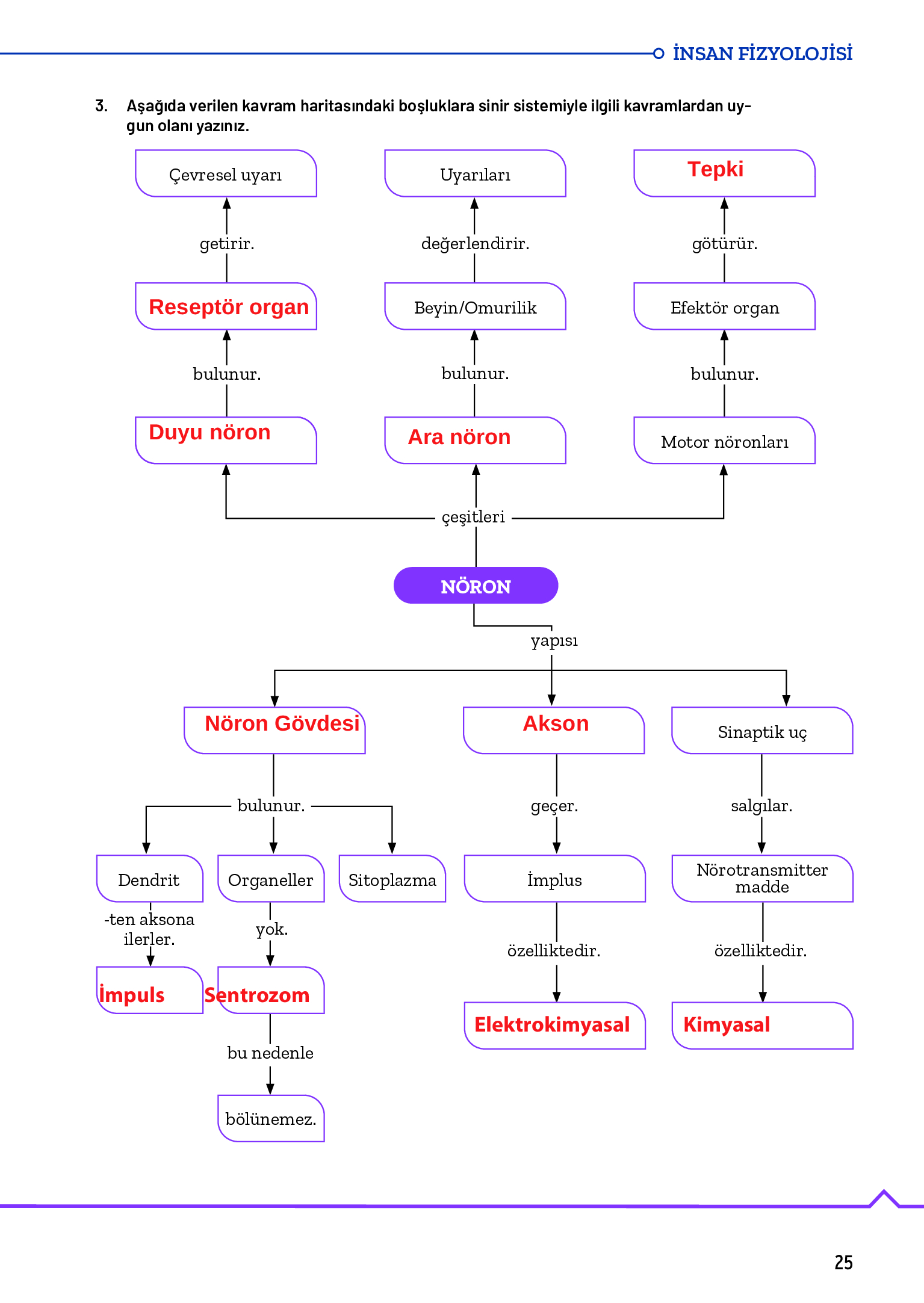 11. Sınıf Meb Yayınları Fen Lisesi Biyoloji Ders Kitabı Sayfa 25 Cevapları