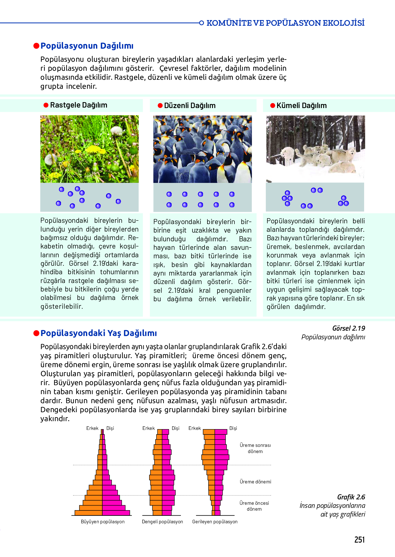11. Sınıf Meb Yayınları Fen Lisesi Biyoloji Ders Kitabı Sayfa 251 Cevapları 11. Sınıf Meb Yayınları Fen Lisesi Biyoloji Ders Kitabı Sayfa 251 Cevapları