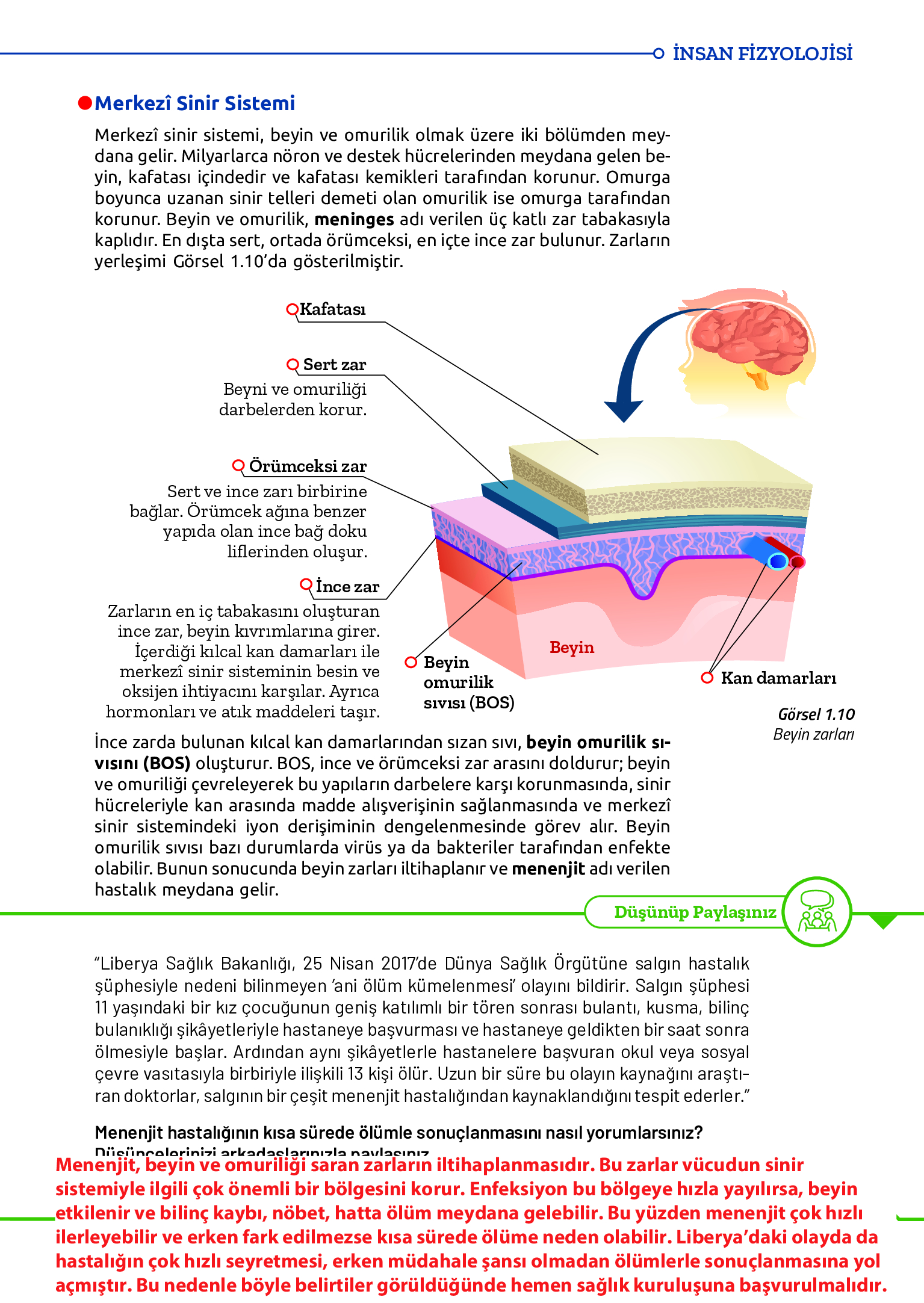 11. Sınıf Meb Yayınları Fen Lisesi Biyoloji Ders Kitabı Sayfa 27 Cevapları 11. Sınıf Meb Yayınları Fen Lisesi Biyoloji Ders Kitabı Sayfa 27 Cevapları