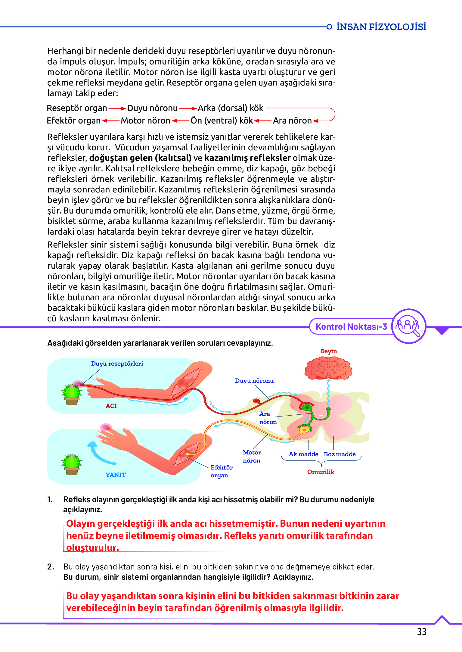 11. Sınıf Meb Yayınları Fen Lisesi Biyoloji Ders Kitabı Sayfa 33 Cevapları 11. Sınıf Meb Yayınları Fen Lisesi Biyoloji Ders Kitabı Sayfa 33 Cevapları