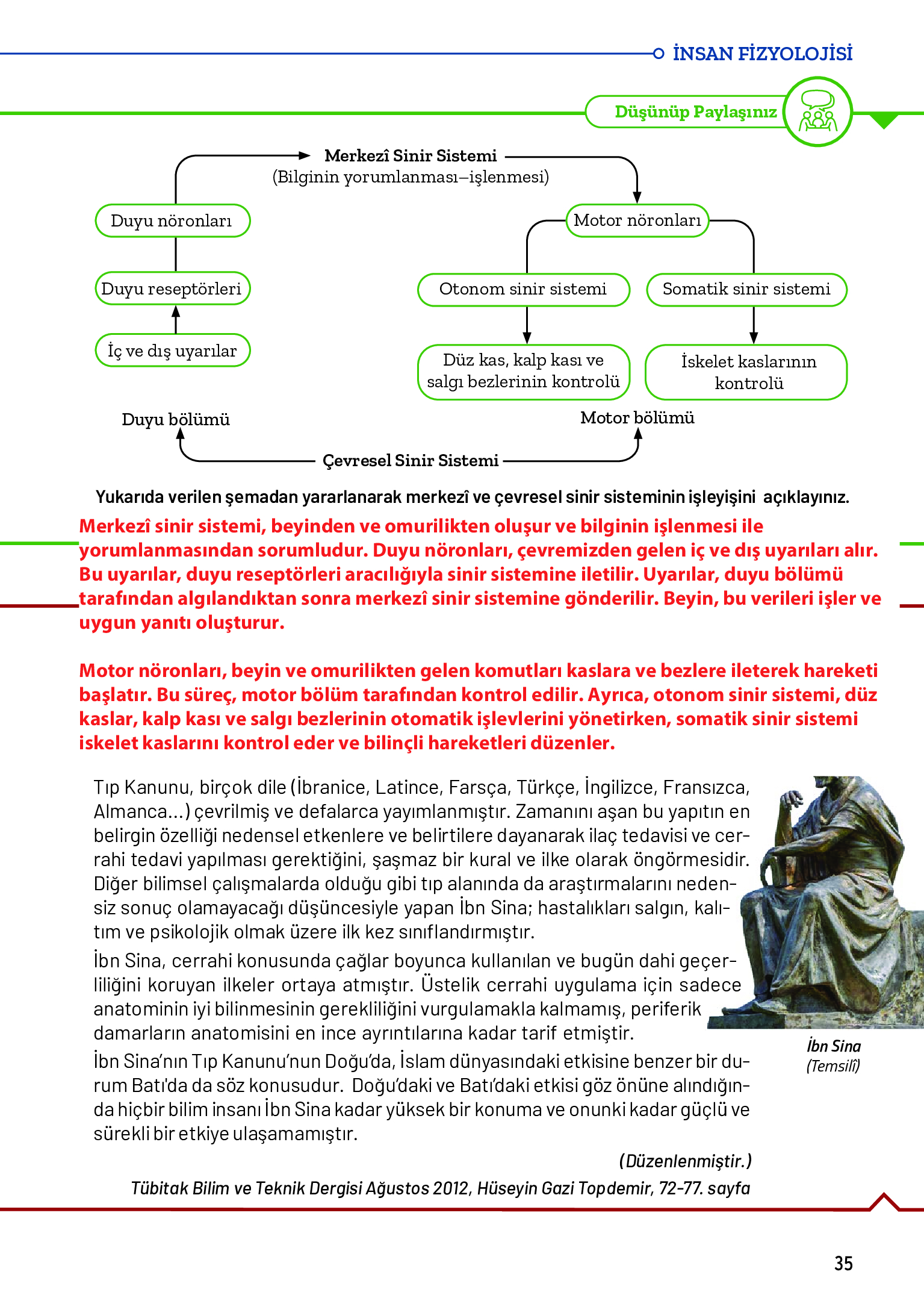 11. Sınıf Meb Yayınları Fen Lisesi Biyoloji Ders Kitabı Sayfa 35 Cevapları