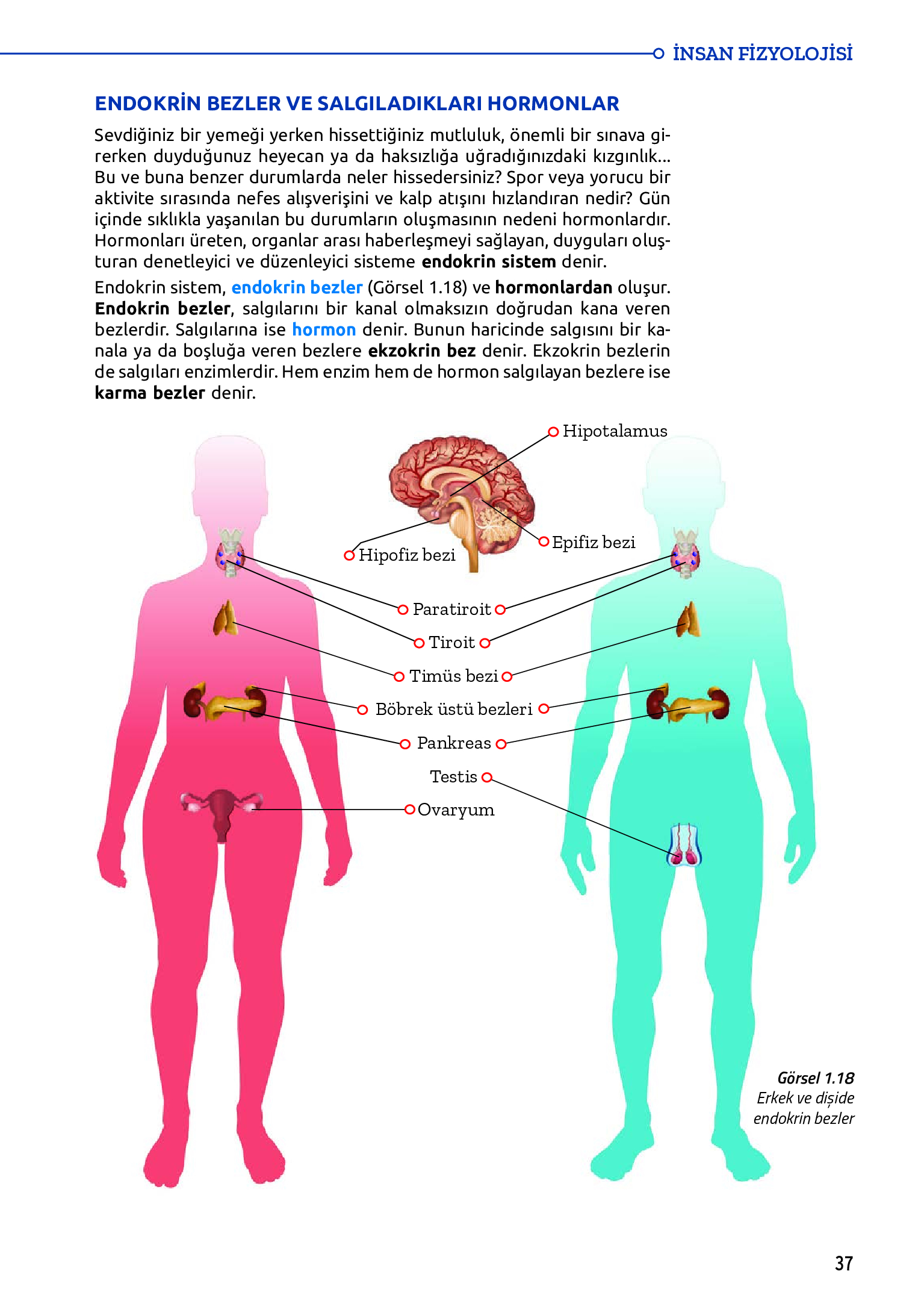 11. Sınıf Meb Yayınları Fen Lisesi Biyoloji Ders Kitabı Sayfa 37 Cevapları 11. Sınıf Meb Yayınları Fen Lisesi Biyoloji Ders Kitabı Sayfa 37 Cevapları