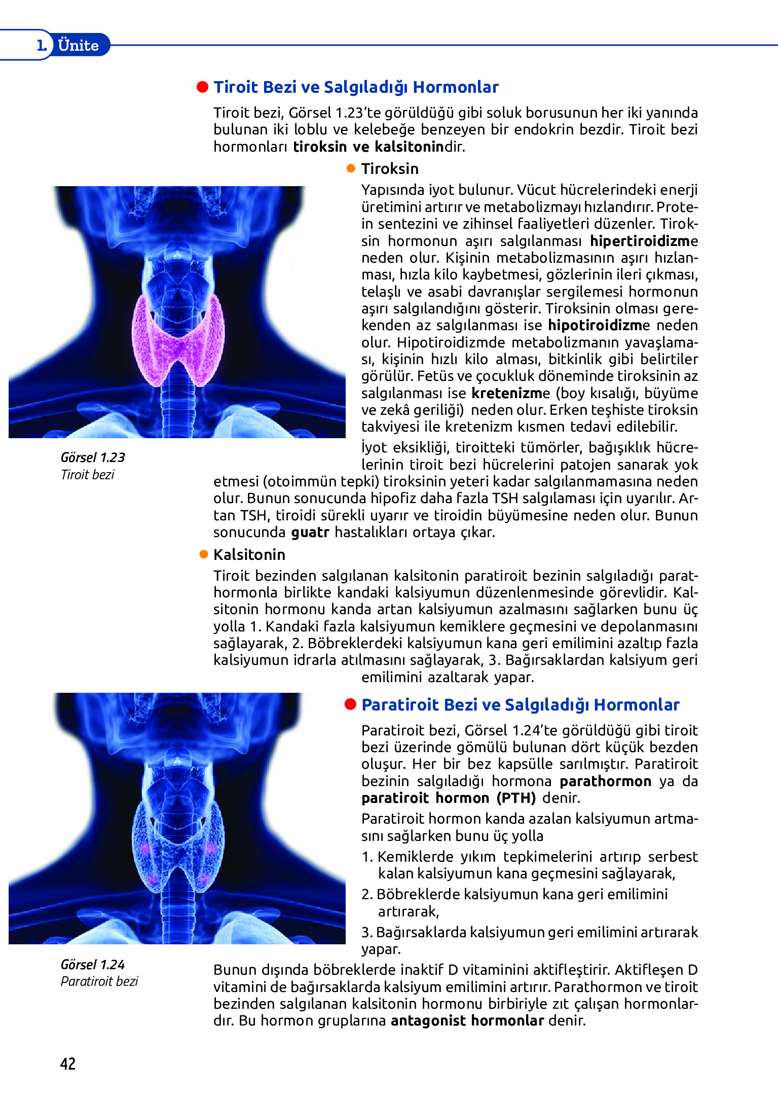 11. Sınıf Meb Yayınları Fen Lisesi Biyoloji Ders Kitabı Sayfa 42 Cevapları 11. Sınıf Meb Yayınları Fen Lisesi Biyoloji Ders Kitabı Sayfa 42 Cevapları