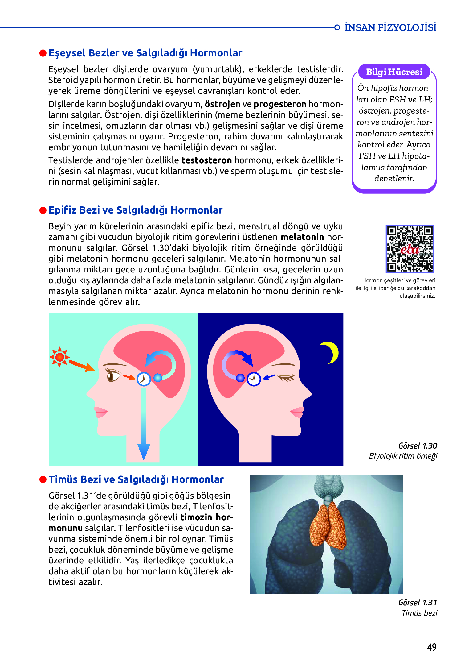 11. Sınıf Meb Yayınları Fen Lisesi Biyoloji Ders Kitabı Sayfa 49 Cevapları