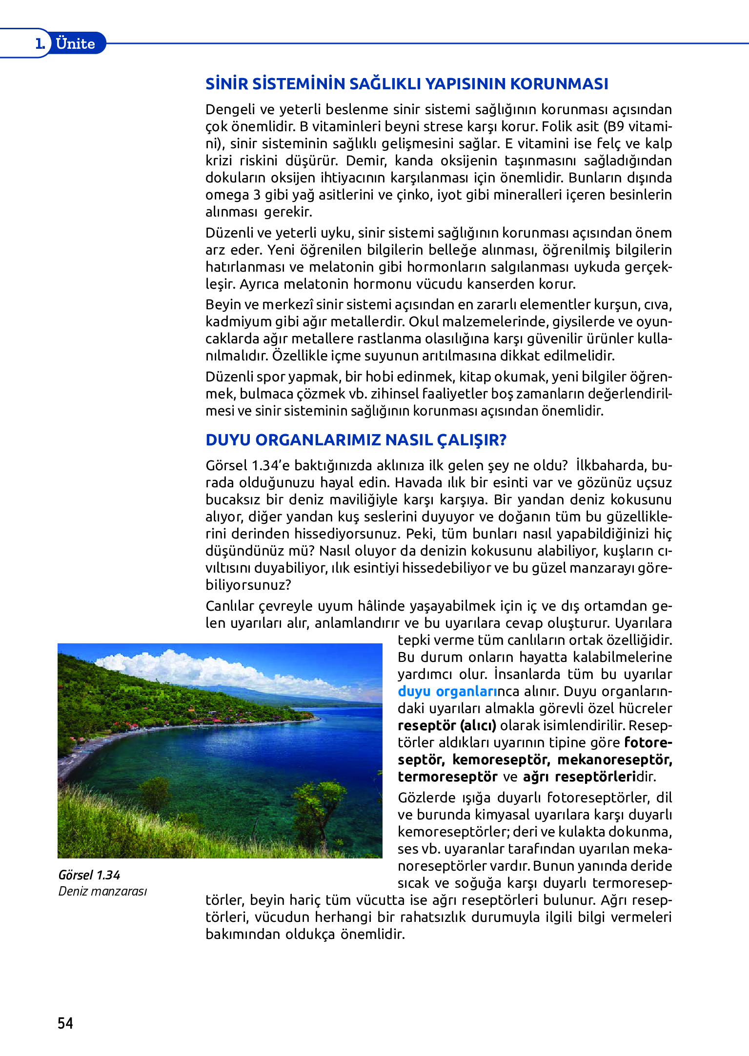 11. Sınıf Meb Yayınları Fen Lisesi Biyoloji Ders Kitabı Sayfa 54 Cevapları