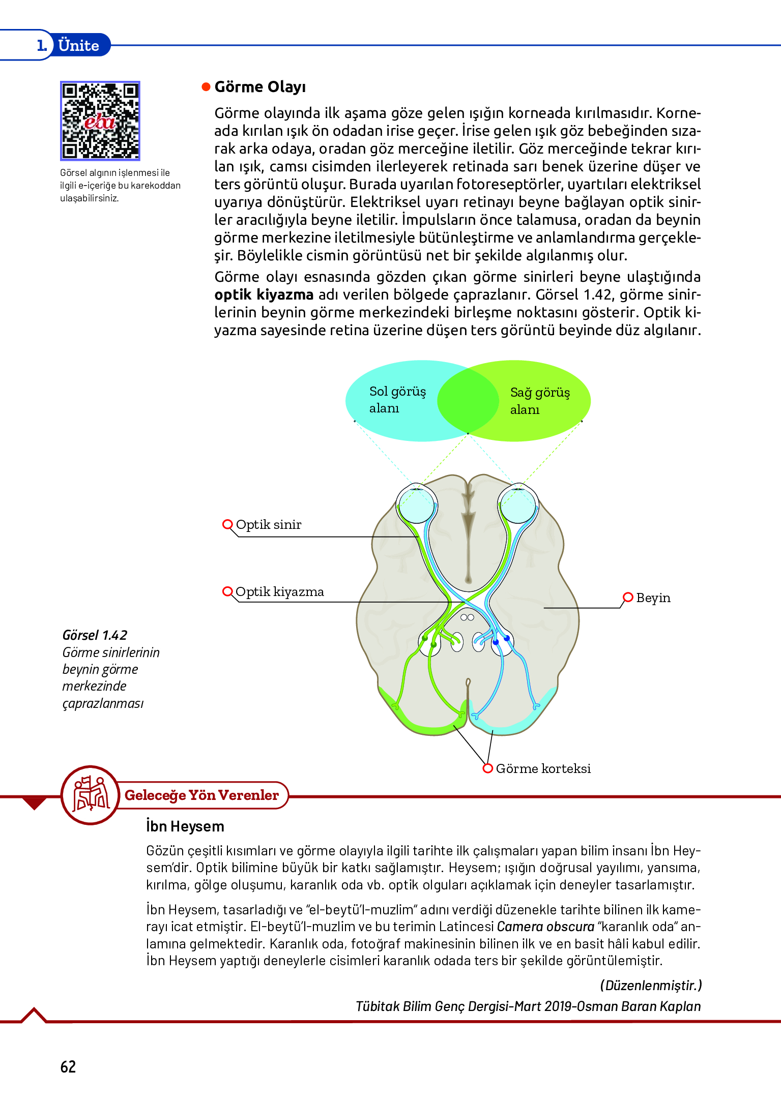 11. Sınıf Meb Yayınları Fen Lisesi Biyoloji Ders Kitabı Sayfa 62 Cevapları