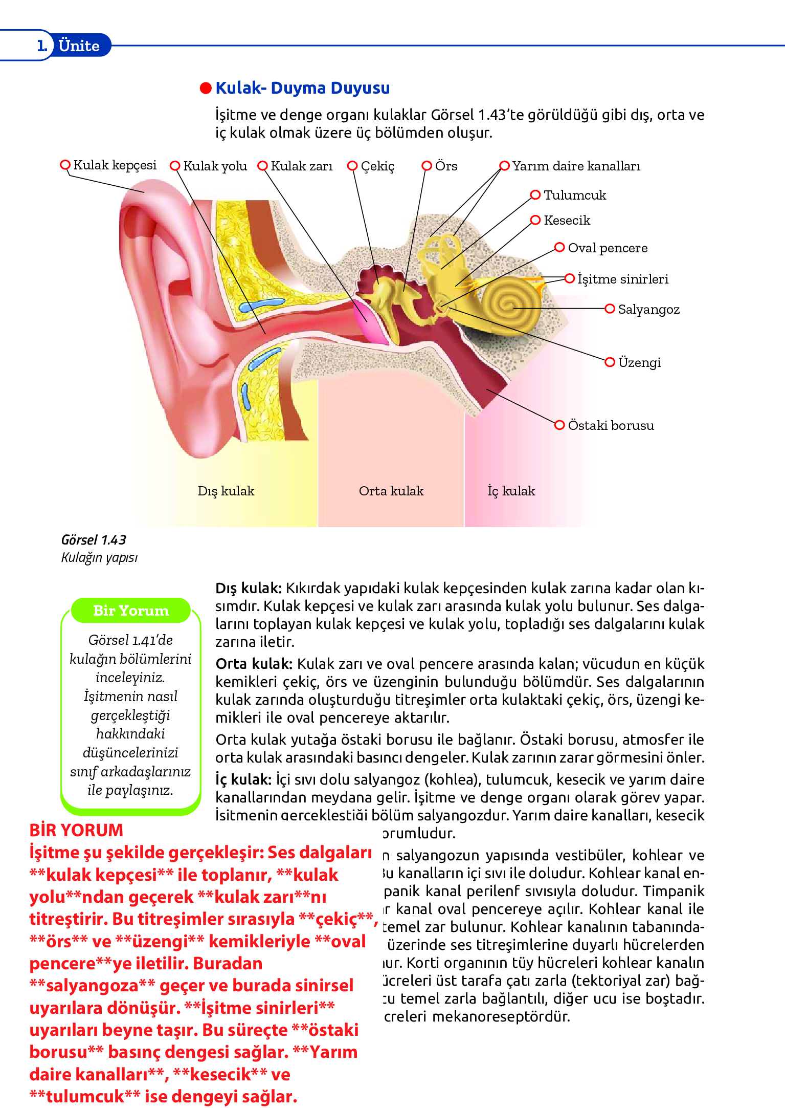 11. Sınıf Meb Yayınları Fen Lisesi Biyoloji Ders Kitabı Sayfa 64 Cevapları 11. Sınıf Meb Yayınları Fen Lisesi Biyoloji Ders Kitabı Sayfa 64 Cevapları