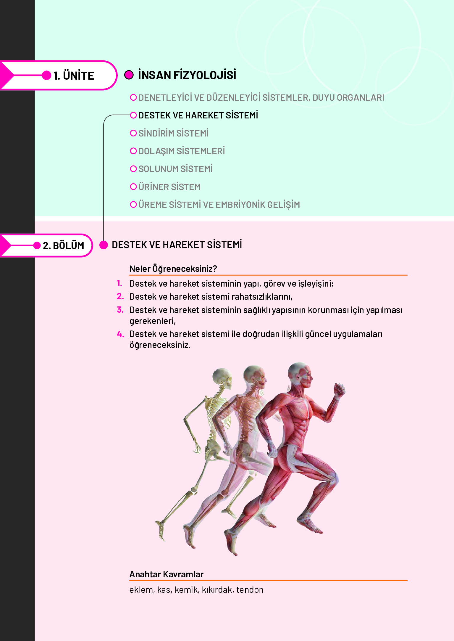 11. Sınıf Meb Yayınları Fen Lisesi Biyoloji Ders Kitabı Sayfa 78 Cevapları 11. Sınıf Meb Yayınları Fen Lisesi Biyoloji Ders Kitabı Sayfa 78 Cevapları