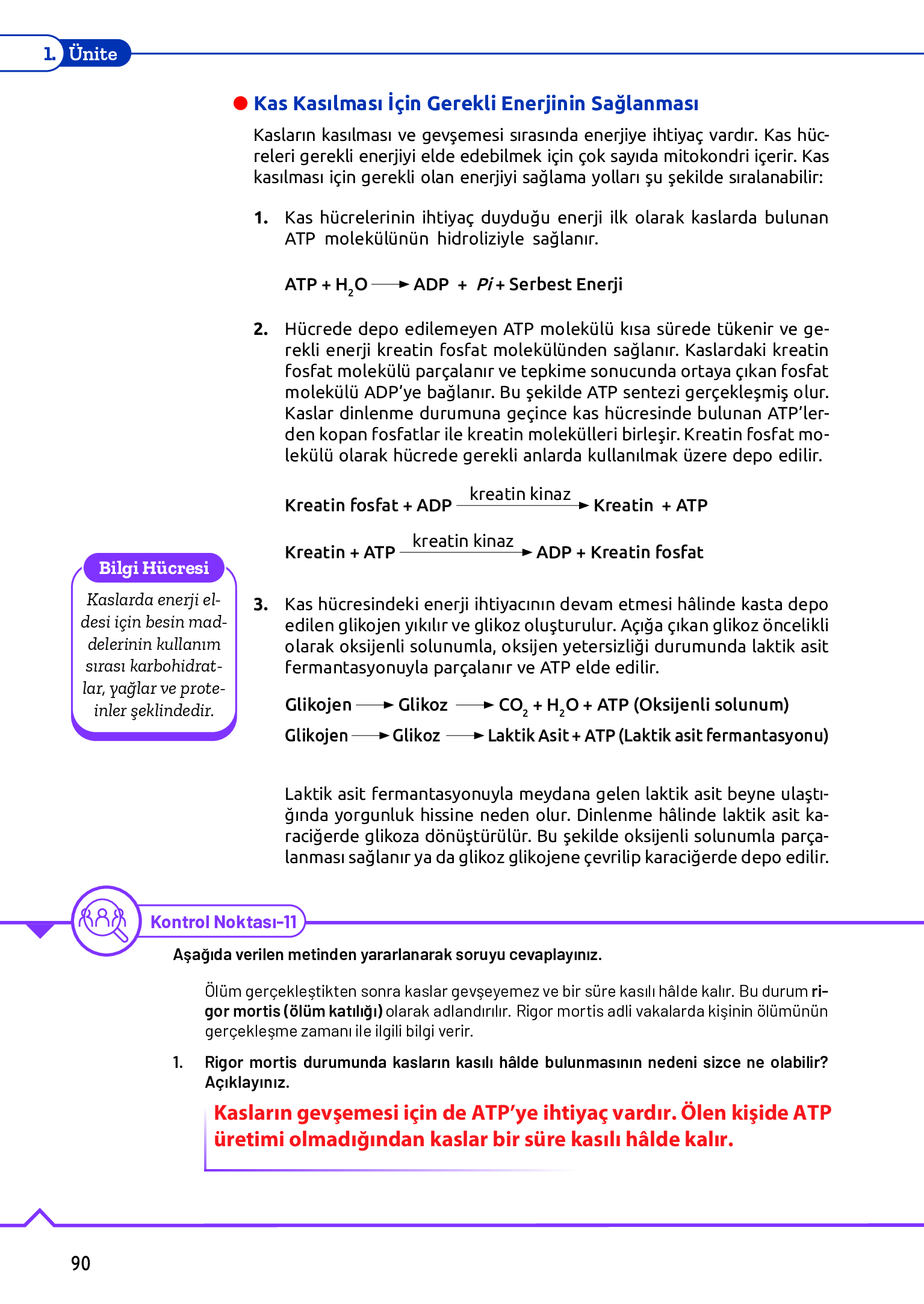 11. Sınıf Meb Yayınları Fen Lisesi Biyoloji Ders Kitabı Sayfa 90 Cevapları 11. Sınıf Meb Yayınları Fen Lisesi Biyoloji Ders Kitabı Sayfa 90 Cevapları