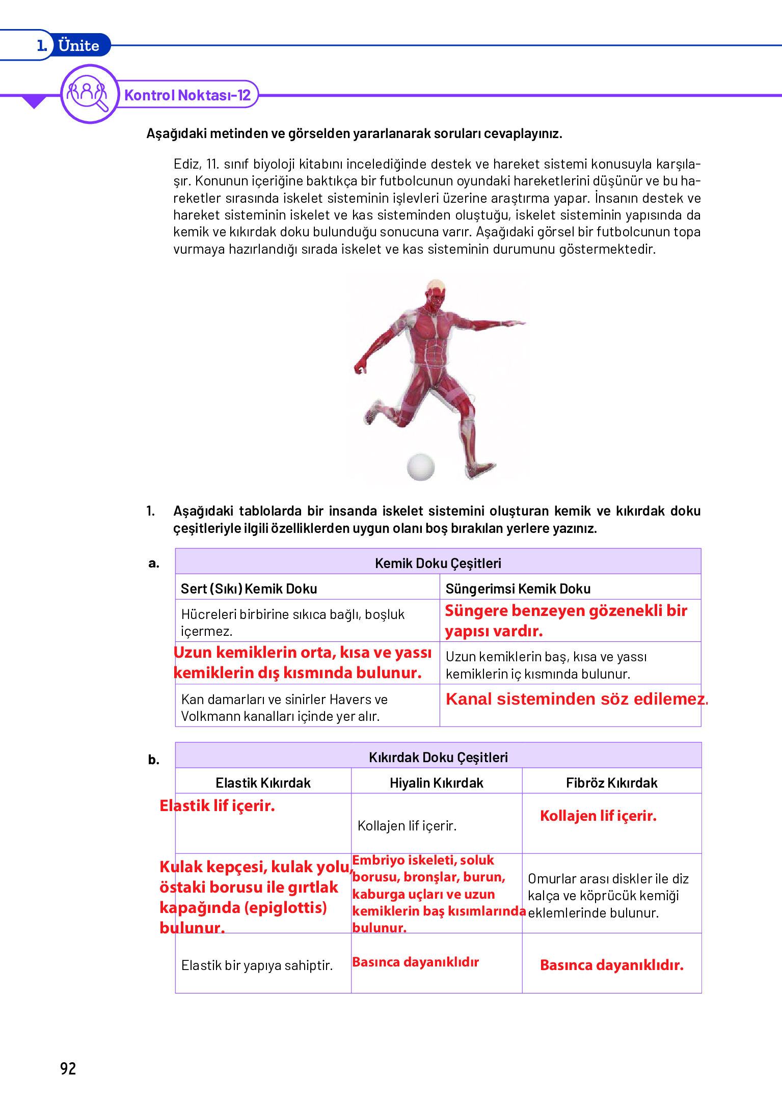11. Sınıf Meb Yayınları Fen Lisesi Biyoloji Ders Kitabı Sayfa 92 Cevapları 11. Sınıf Meb Yayınları Fen Lisesi Biyoloji Ders Kitabı Sayfa 92 Cevapları