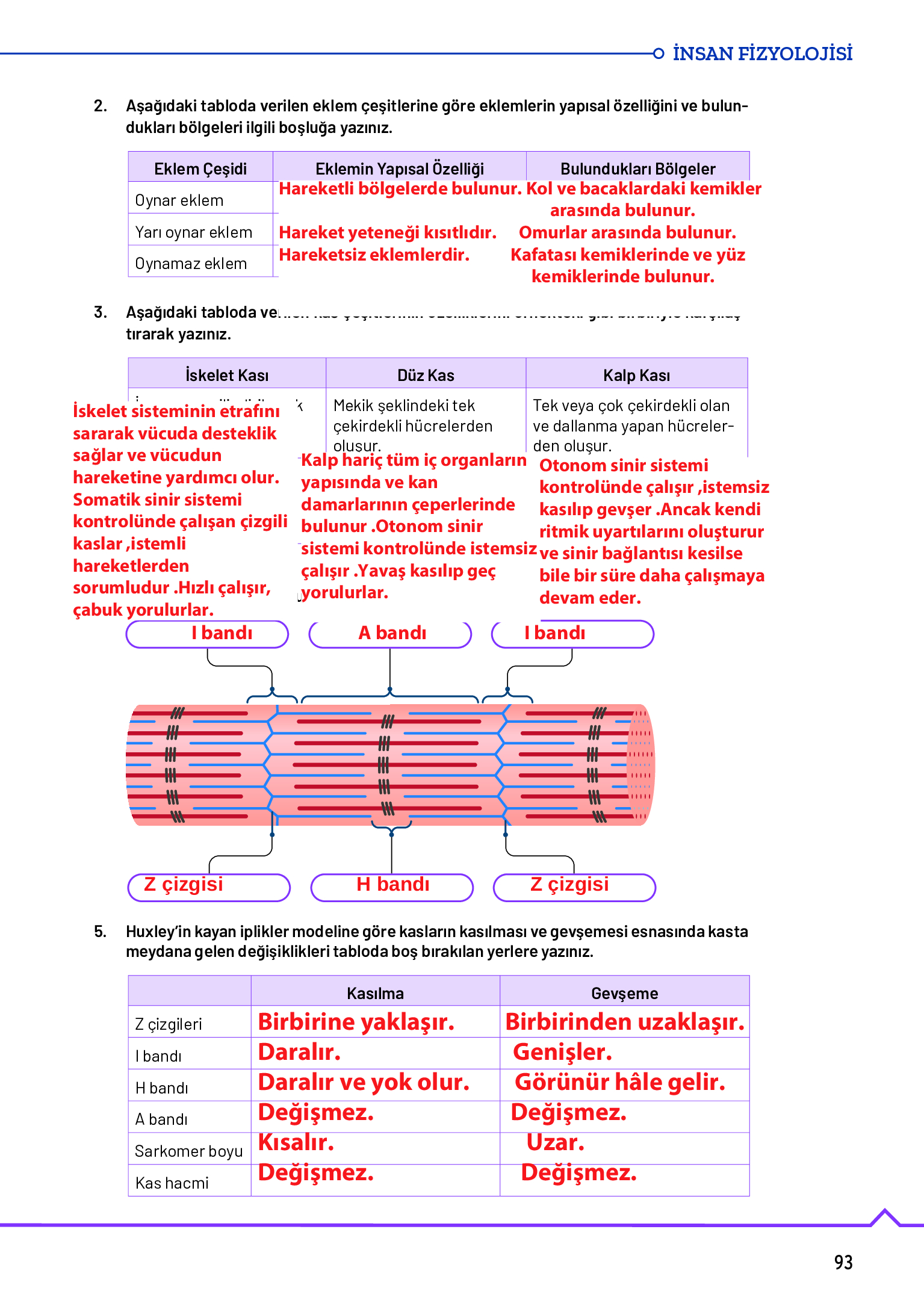 11. Sınıf Meb Yayınları Fen Lisesi Biyoloji Ders Kitabı Sayfa 93 Cevapları