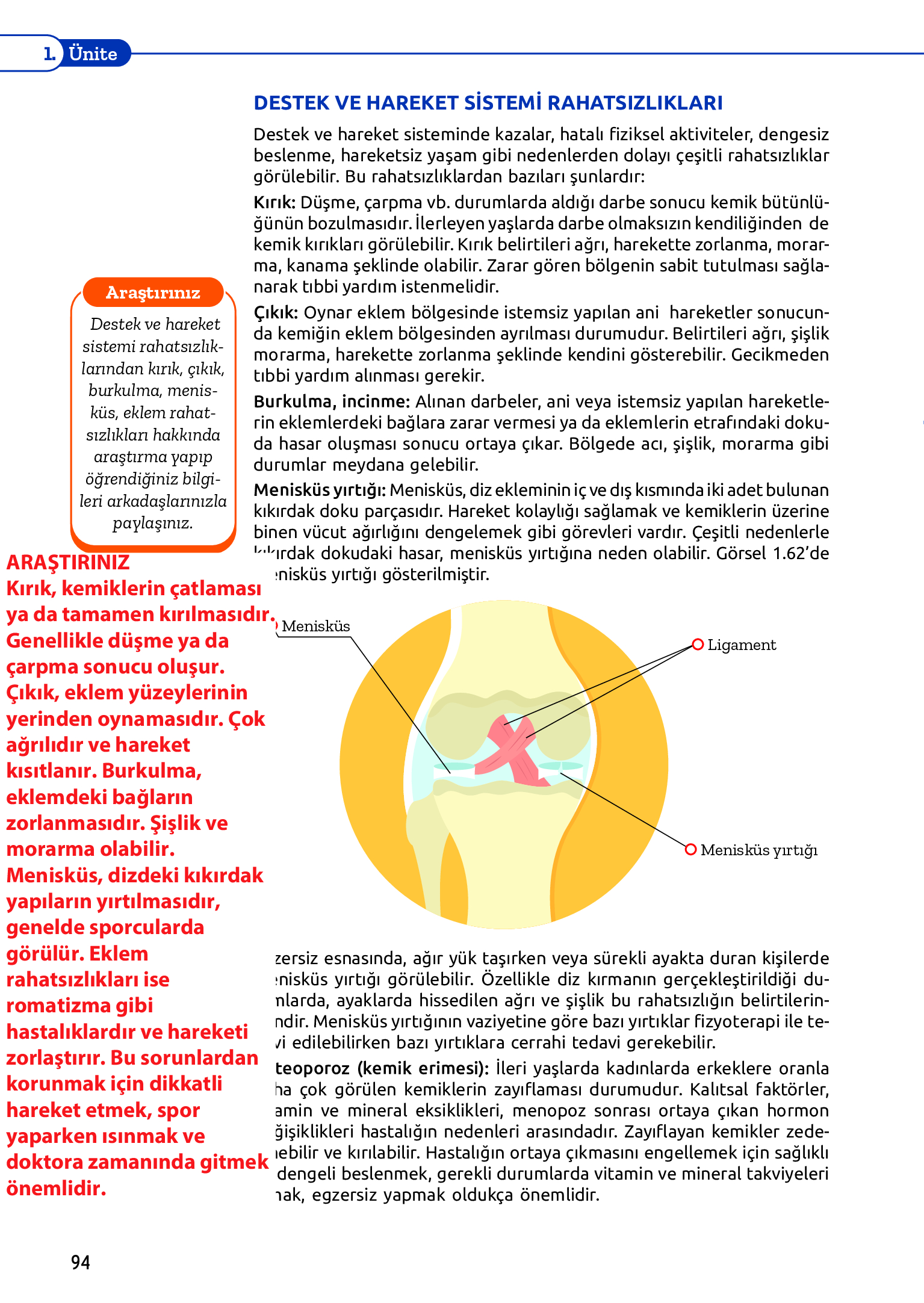 11. Sınıf Meb Yayınları Fen Lisesi Biyoloji Ders Kitabı Sayfa 94 Cevapları
