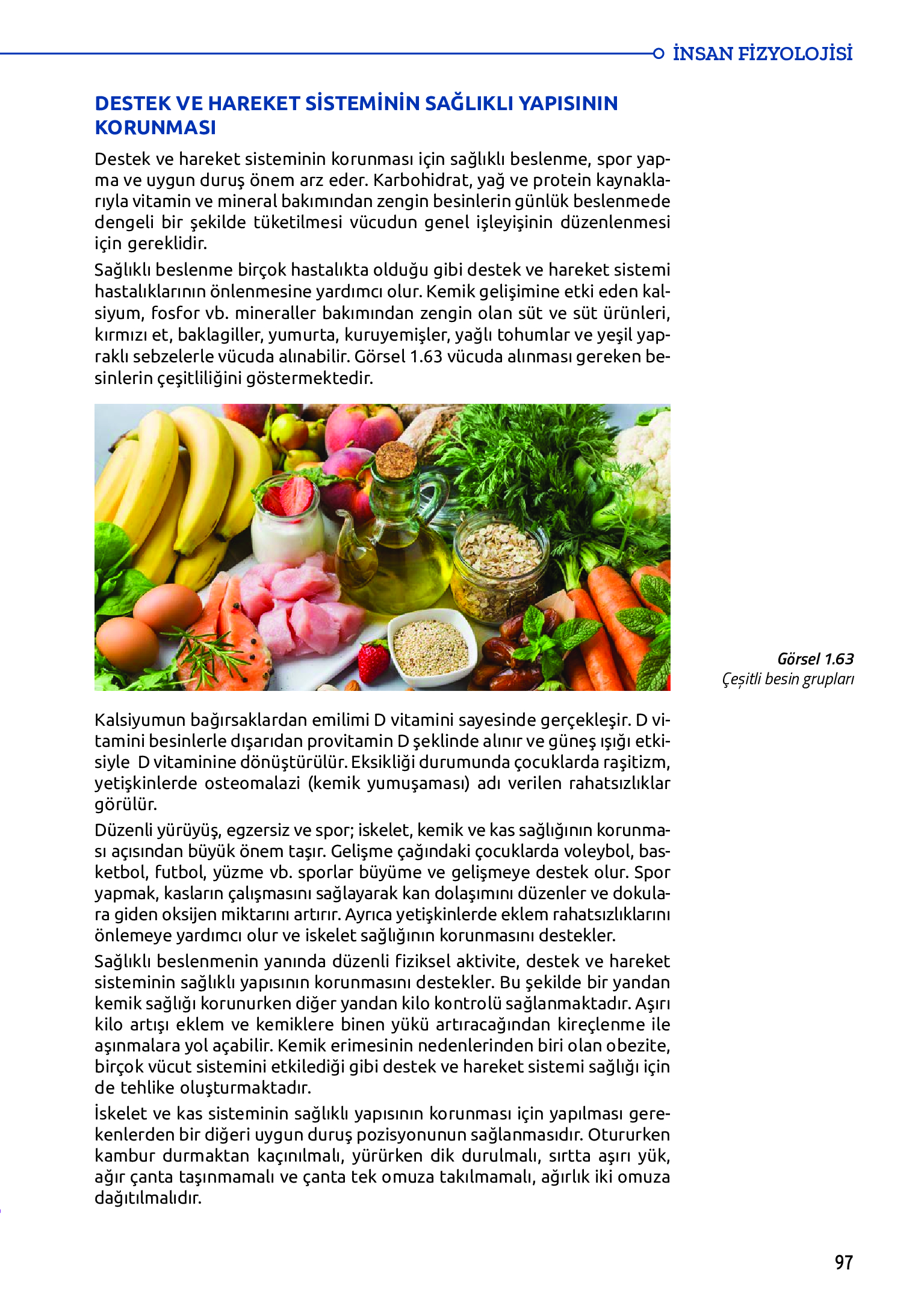 11. Sınıf Meb Yayınları Fen Lisesi Biyoloji Ders Kitabı Sayfa 97 Cevapları 11. Sınıf Meb Yayınları Fen Lisesi Biyoloji Ders Kitabı Sayfa 97 Cevapları