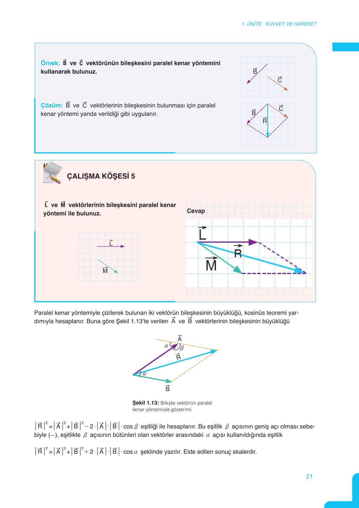 11. Sınıf Meb Yayınları Fen Lisesi Fizik Ders Kitabı Sayfa 21 Cevapları
