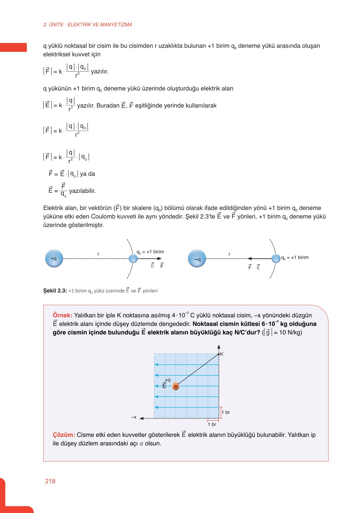 11. Sınıf Meb Yayınları Fen Lisesi Fizik Ders Kitabı Sayfa 218 Cevapları