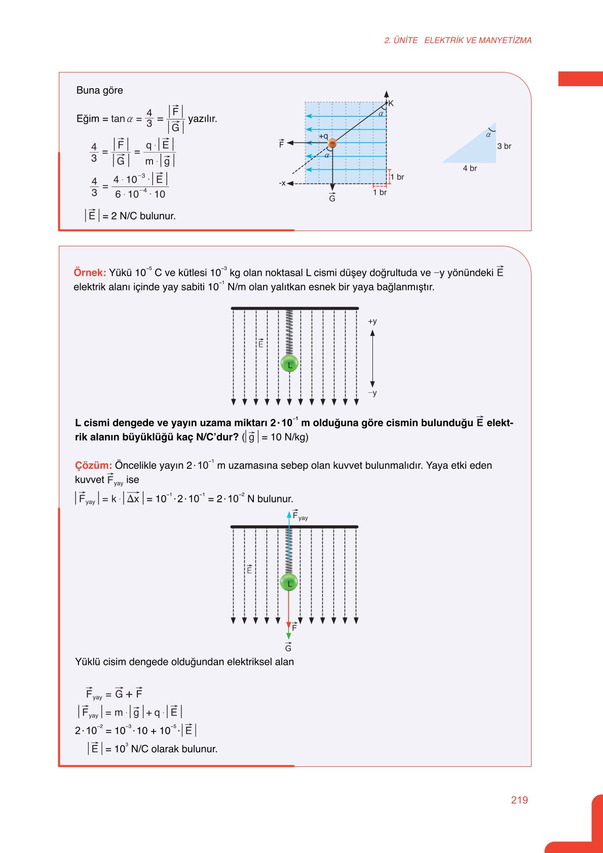 11. Sınıf Meb Yayınları Fen Lisesi Fizik Ders Kitabı Sayfa 219 Cevapları