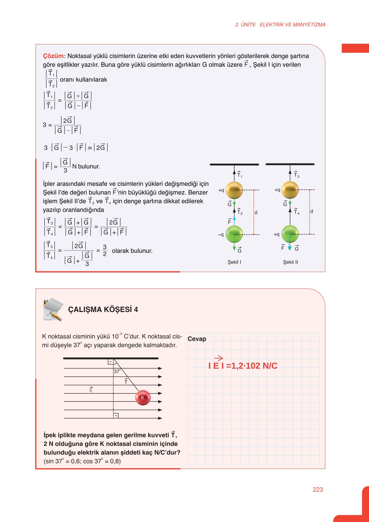 11. Sınıf Meb Yayınları Fen Lisesi Fizik Ders Kitabı Sayfa 223 Cevapları