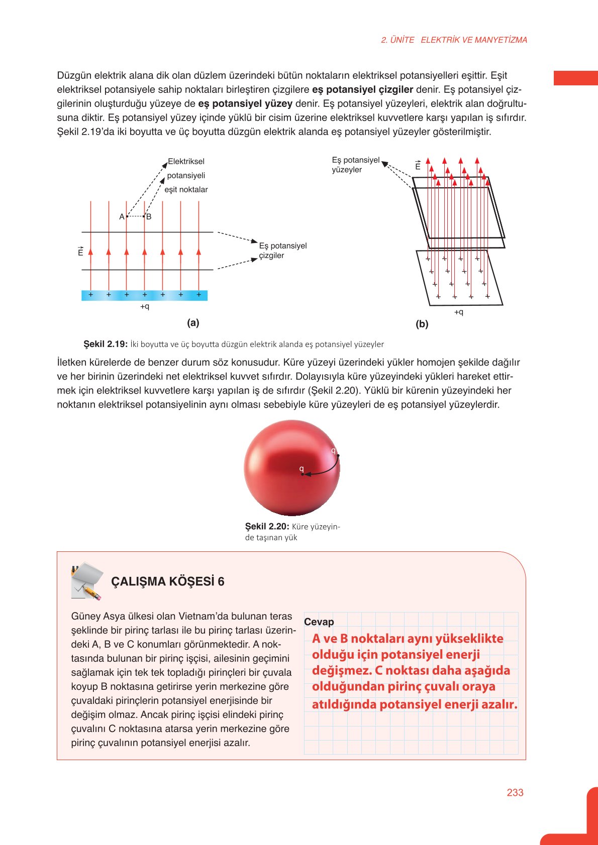 11. Sınıf Meb Yayınları Fen Lisesi Fizik Ders Kitabı Sayfa 233 Cevapları