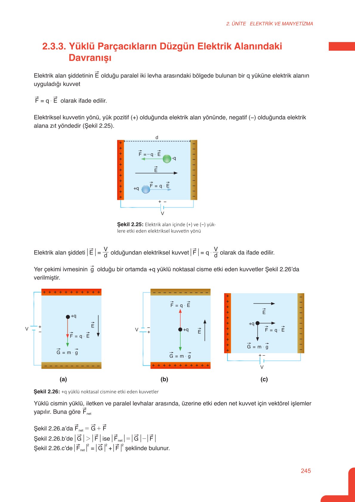 11. Sınıf Meb Yayınları Fen Lisesi Fizik Ders Kitabı Sayfa 245 Cevapları