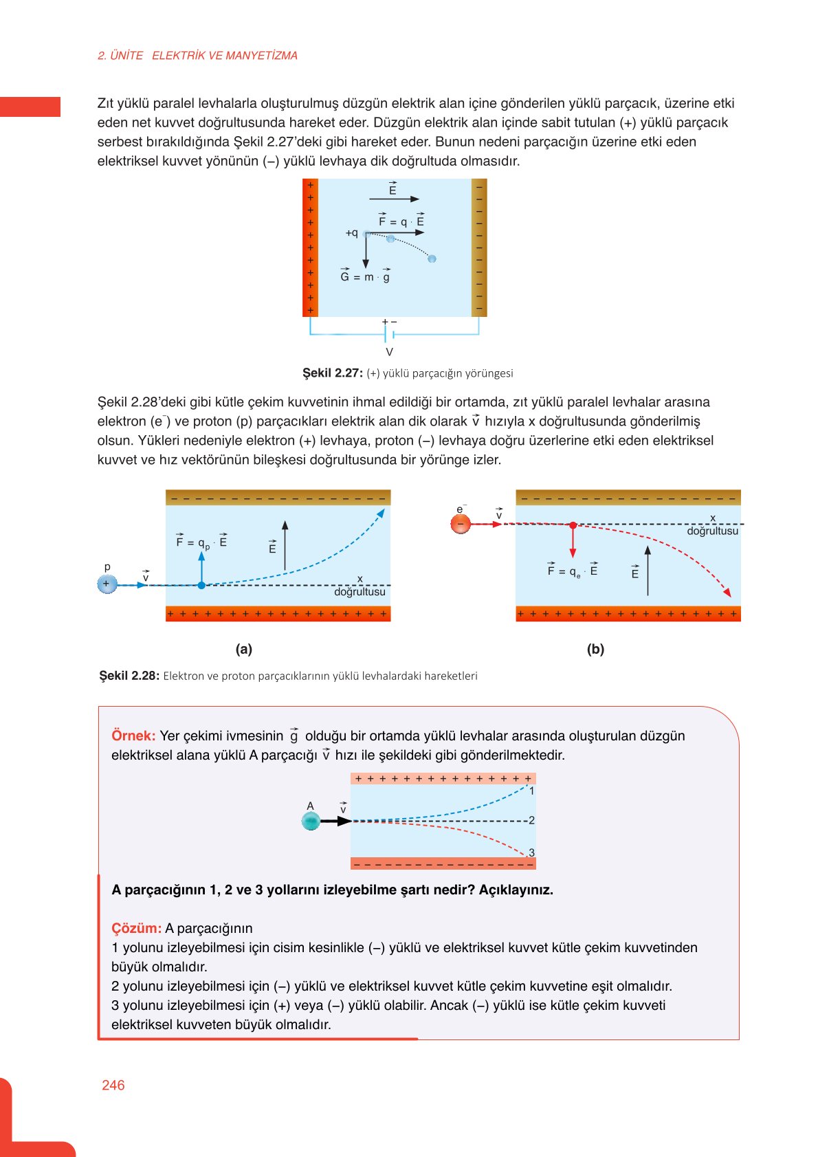 11. Sınıf Meb Yayınları Fen Lisesi Fizik Ders Kitabı Sayfa 246 Cevapları