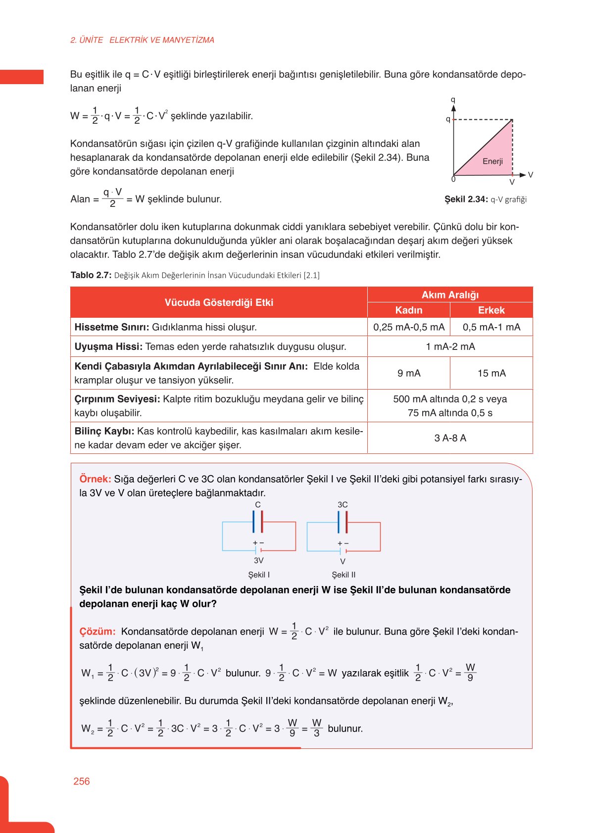 11. Sınıf Meb Yayınları Fen Lisesi Fizik Ders Kitabı Sayfa 256 Cevapları