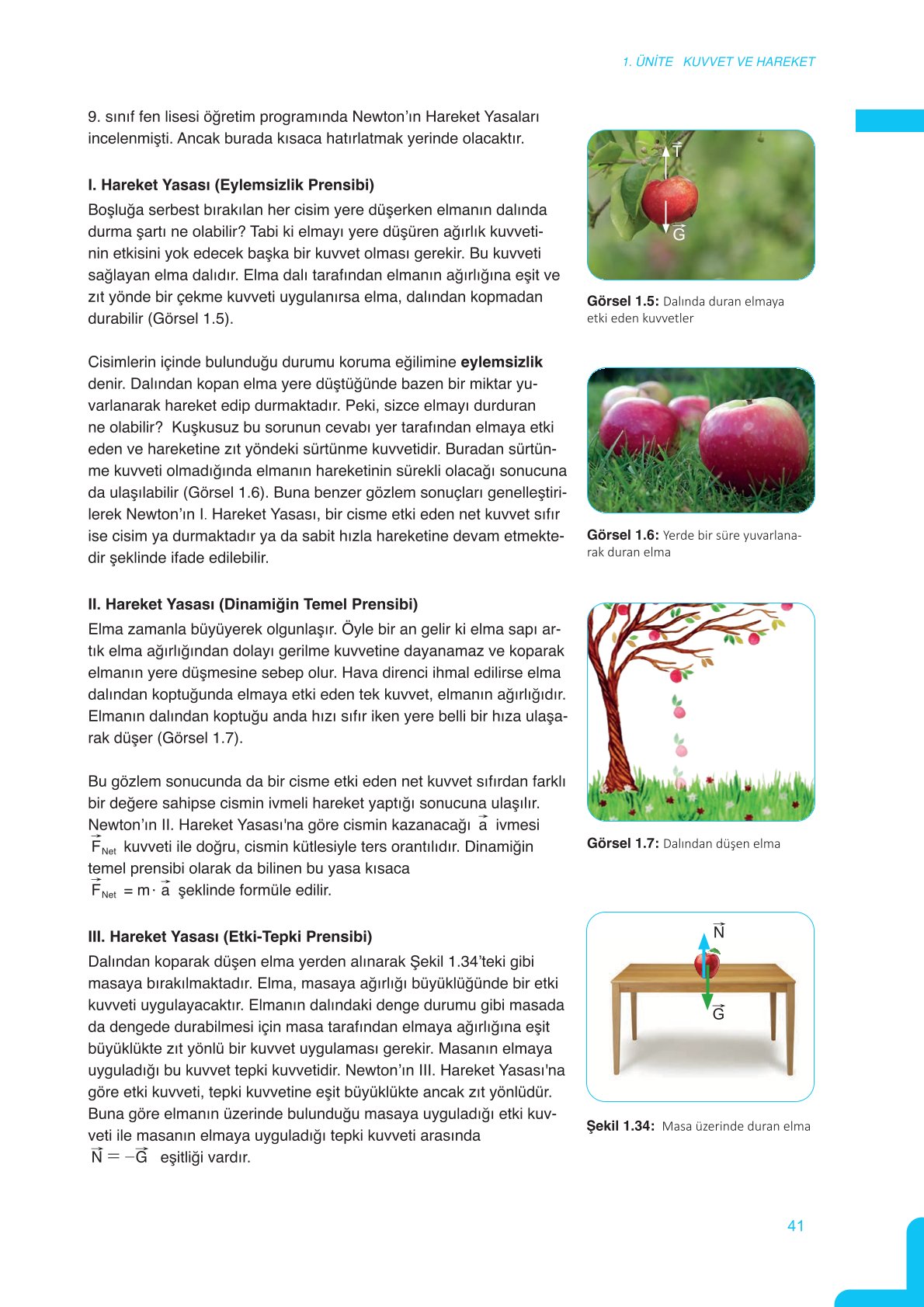 11. Sınıf Meb Yayınları Fen Lisesi Fizik Ders Kitabı Sayfa 41 Cevapları