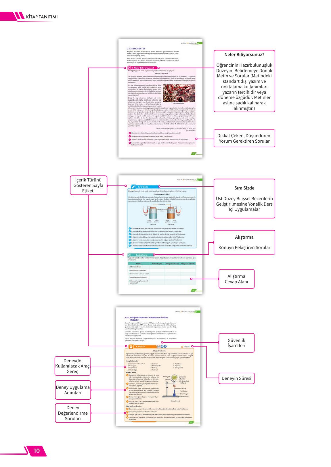 12. Sınıf Meb Yayınları Fen Lisesi Biyoloji Ders Kitabı Sayfa 10 Cevapları