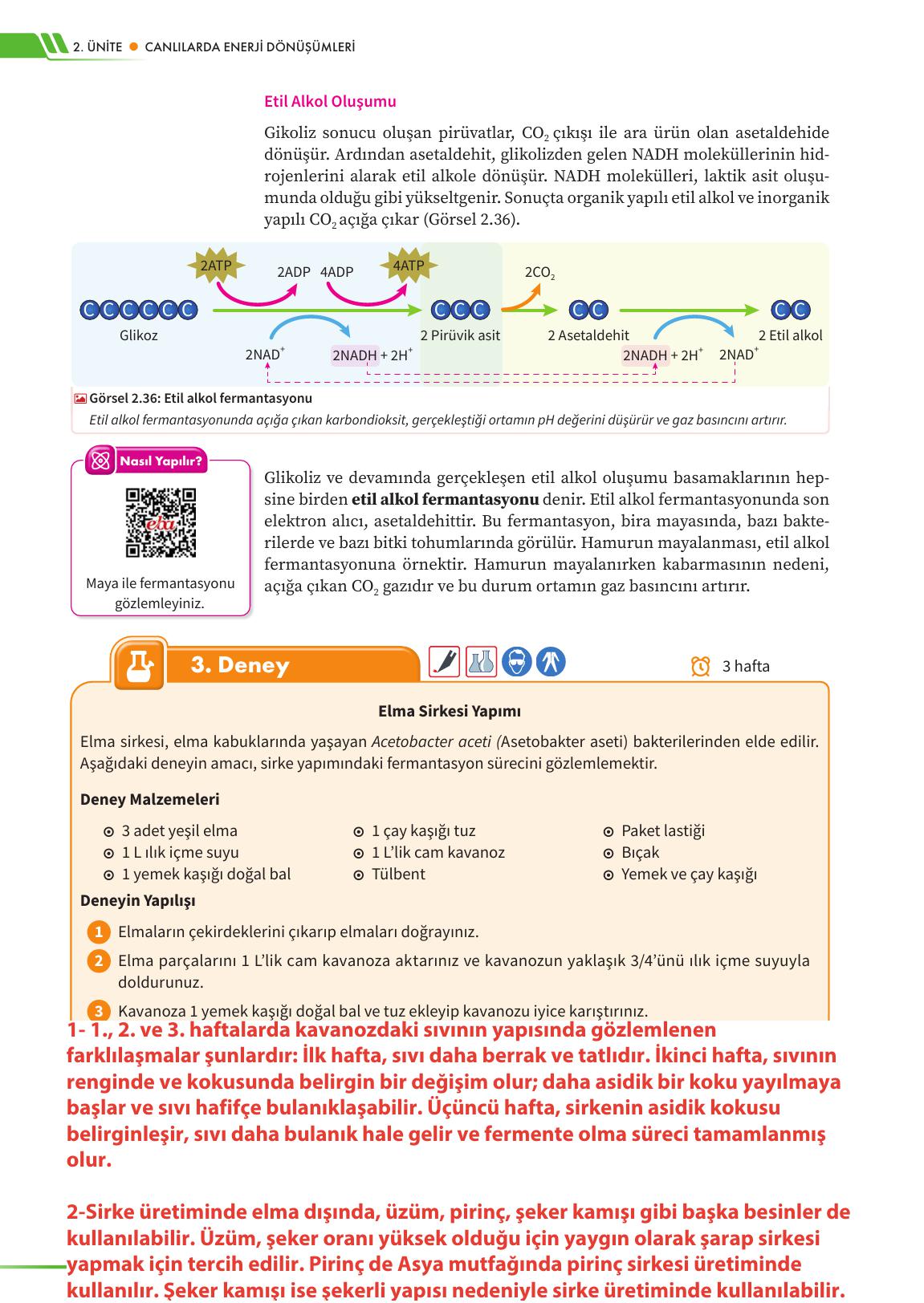 12. Sınıf Meb Yayınları Fen Lisesi Biyoloji Ders Kitabı Sayfa 100 Cevapları