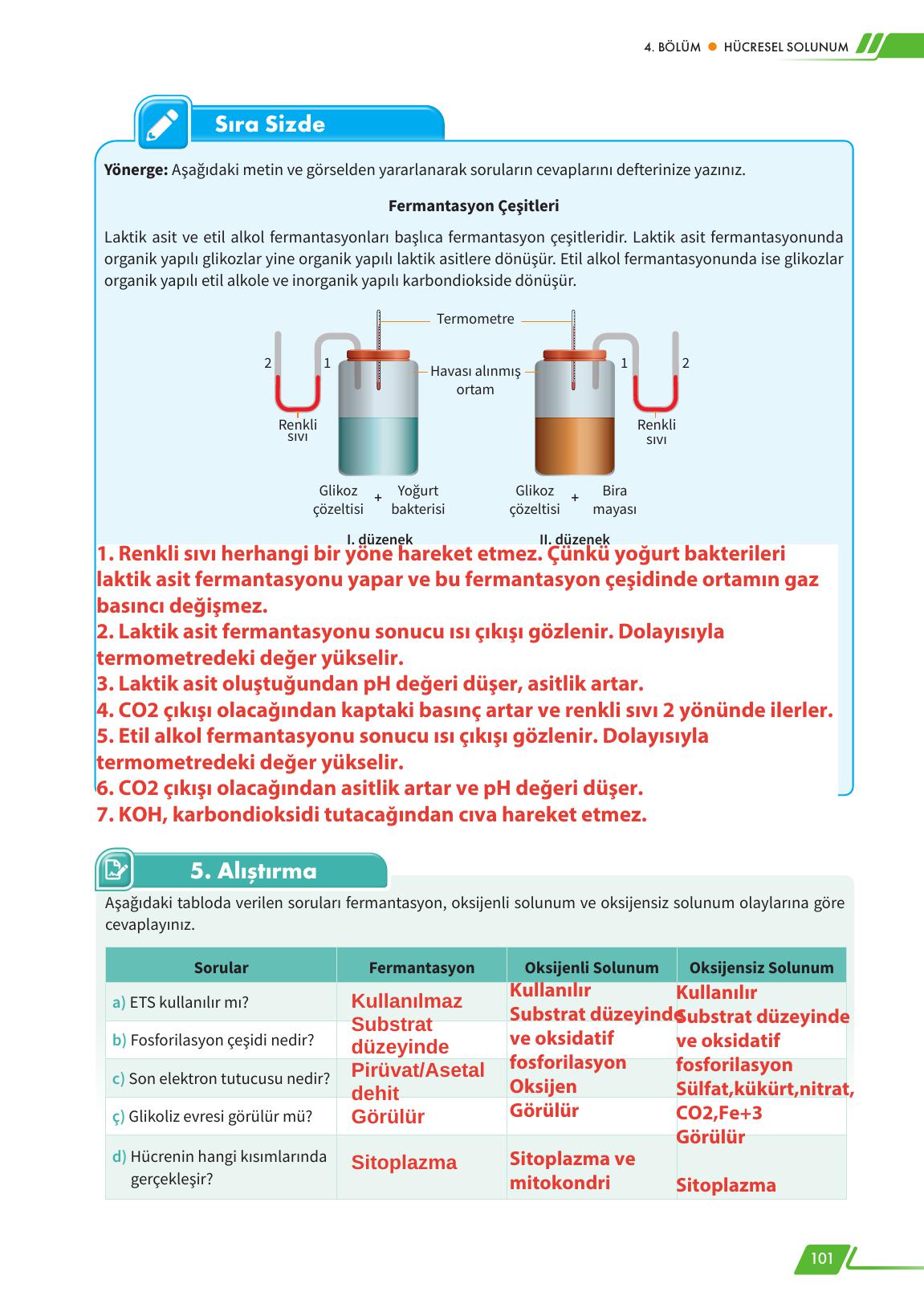 12. Sınıf Meb Yayınları Fen Lisesi Biyoloji Ders Kitabı Sayfa 101 Cevapları