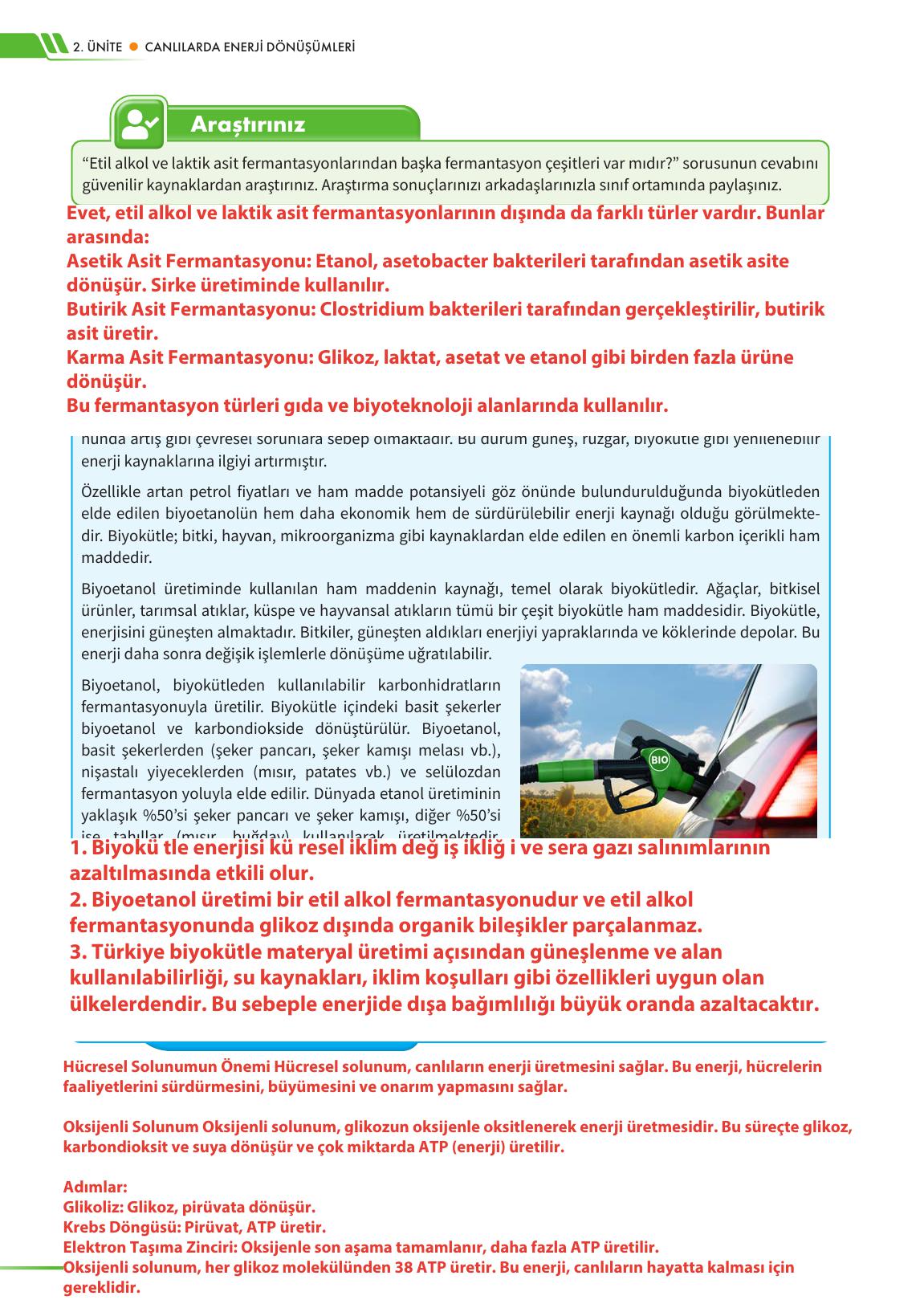 12. Sınıf Meb Yayınları Fen Lisesi Biyoloji Ders Kitabı Sayfa 102 Cevapları