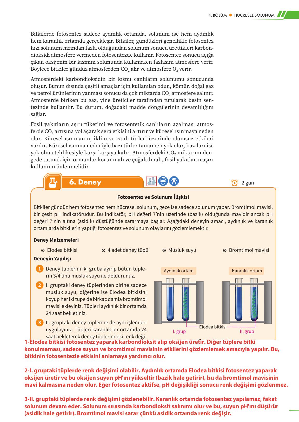 12. Sınıf Meb Yayınları Fen Lisesi Biyoloji Ders Kitabı Sayfa 105 Cevapları