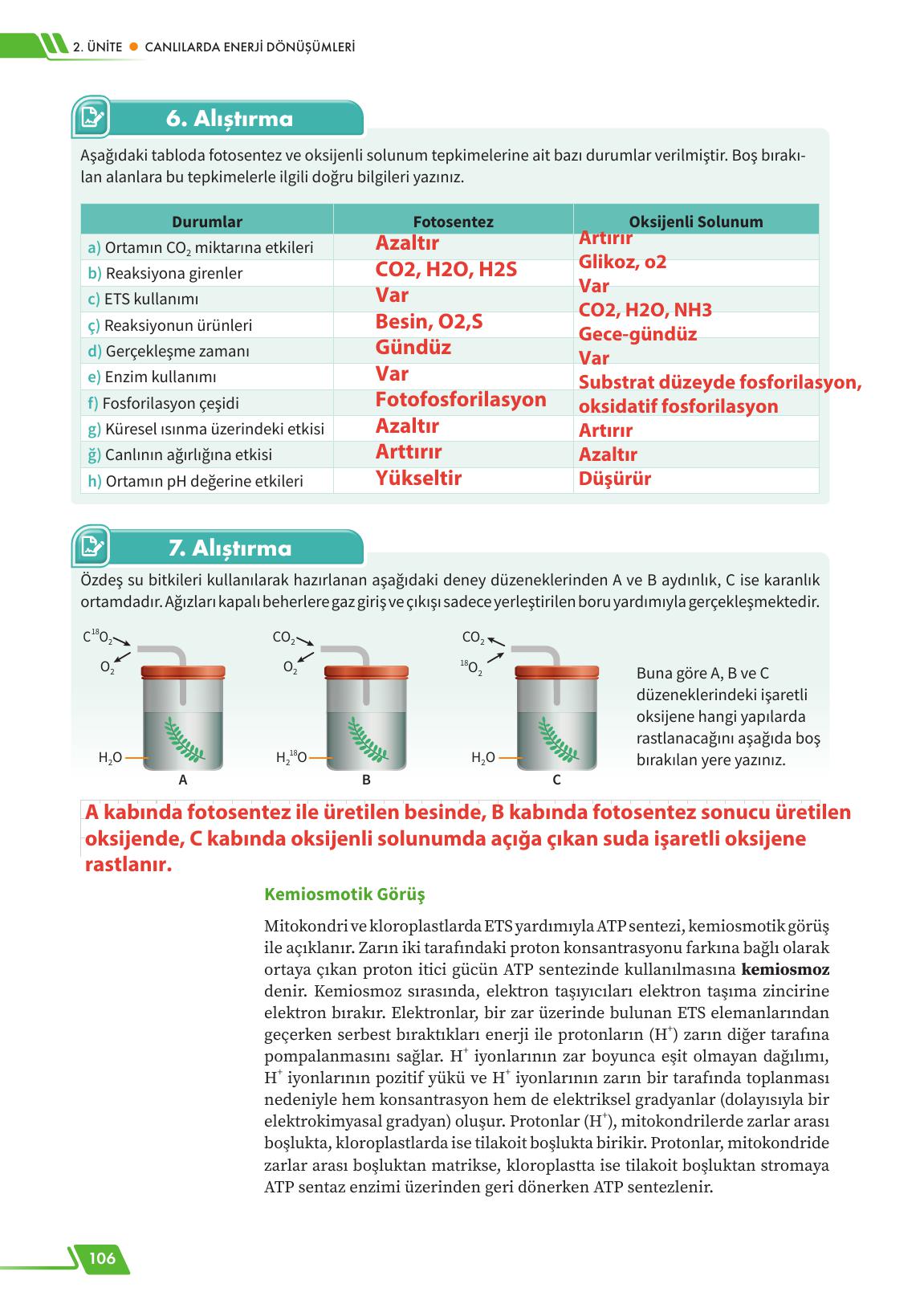 12. Sınıf Meb Yayınları Fen Lisesi Biyoloji Ders Kitabı Sayfa 106 Cevapları