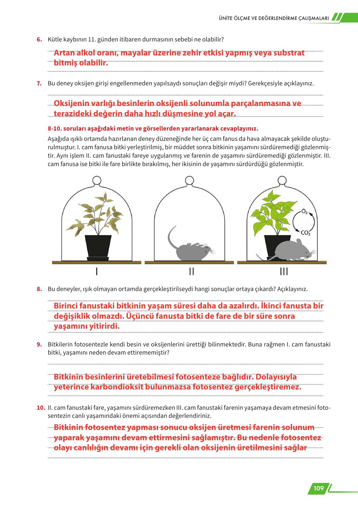 12. Sınıf Meb Yayınları Fen Lisesi Biyoloji Ders Kitabı Sayfa 109 Cevapları