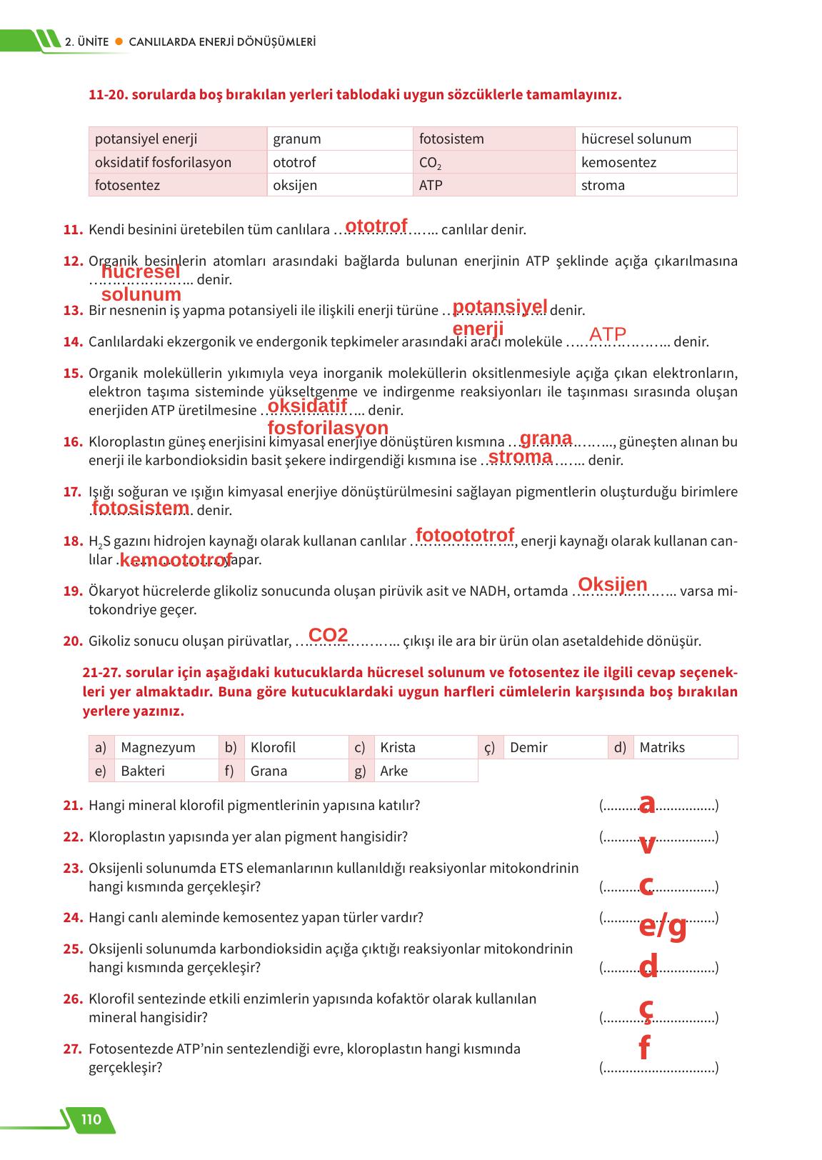 12. Sınıf Meb Yayınları Fen Lisesi Biyoloji Ders Kitabı Sayfa 110 Cevapları