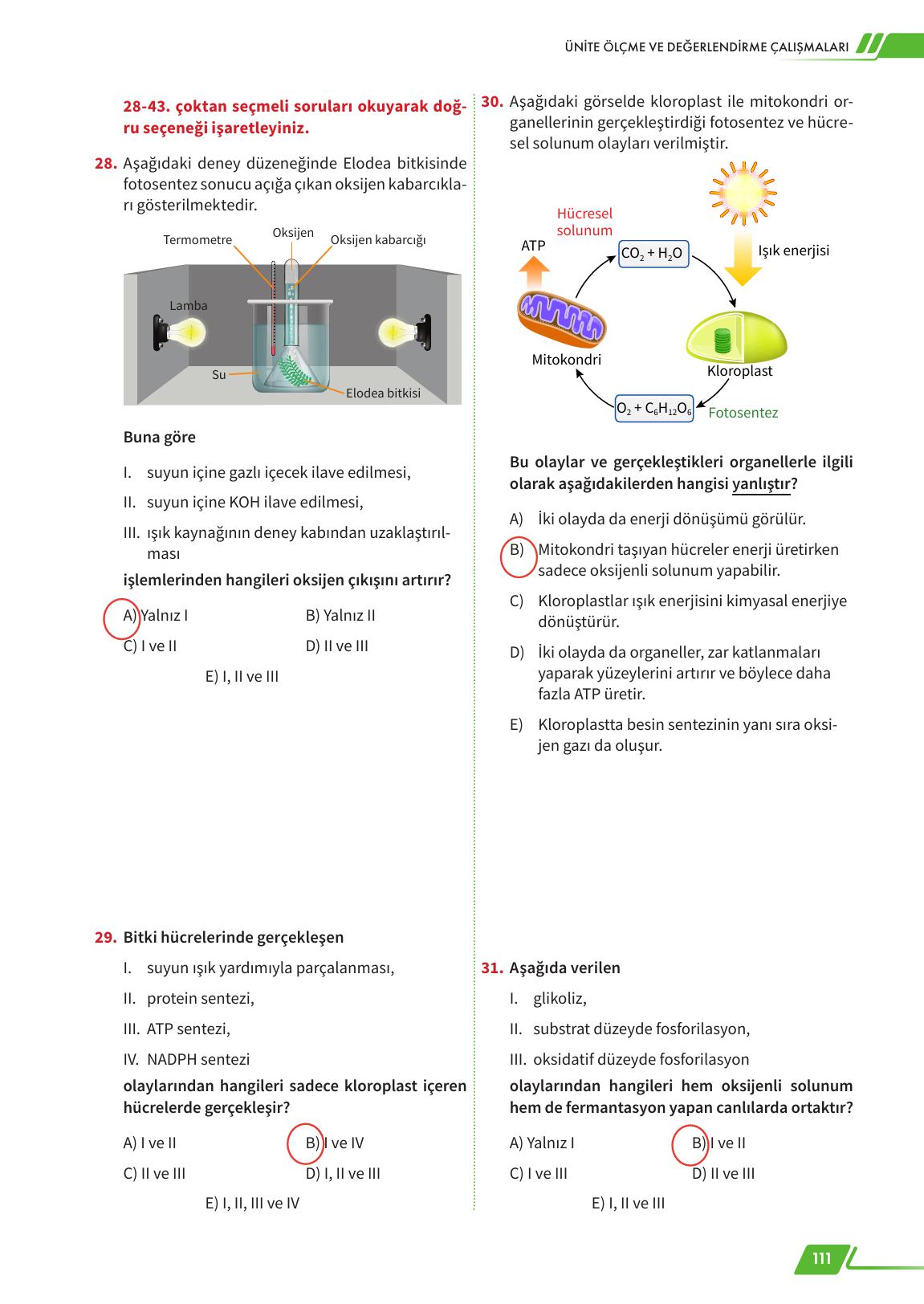 12. Sınıf Meb Yayınları Fen Lisesi Biyoloji Ders Kitabı Sayfa 111 Cevapları 12. Sınıf Meb Yayınları Fen Lisesi Biyoloji Ders Kitabı Sayfa 111 Cevapları