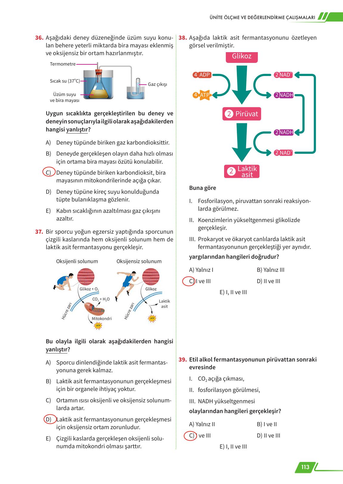 12. Sınıf Meb Yayınları Fen Lisesi Biyoloji Ders Kitabı Sayfa 113 Cevapları