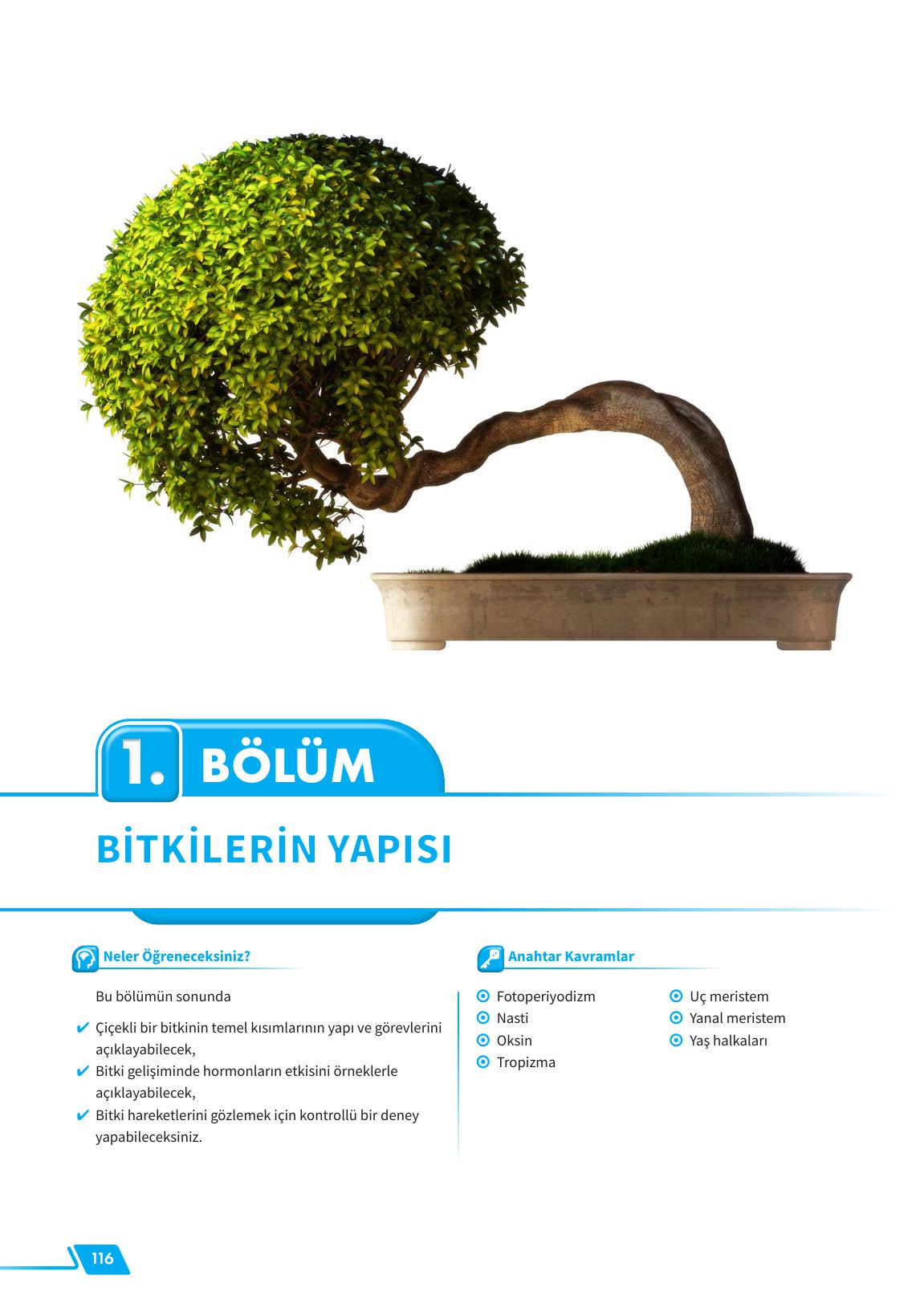 12. Sınıf Meb Yayınları Fen Lisesi Biyoloji Ders Kitabı Sayfa 116 Cevapları