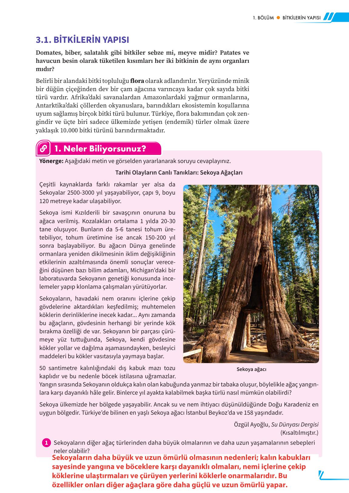 12. Sınıf Meb Yayınları Fen Lisesi Biyoloji Ders Kitabı Sayfa 117 Cevapları