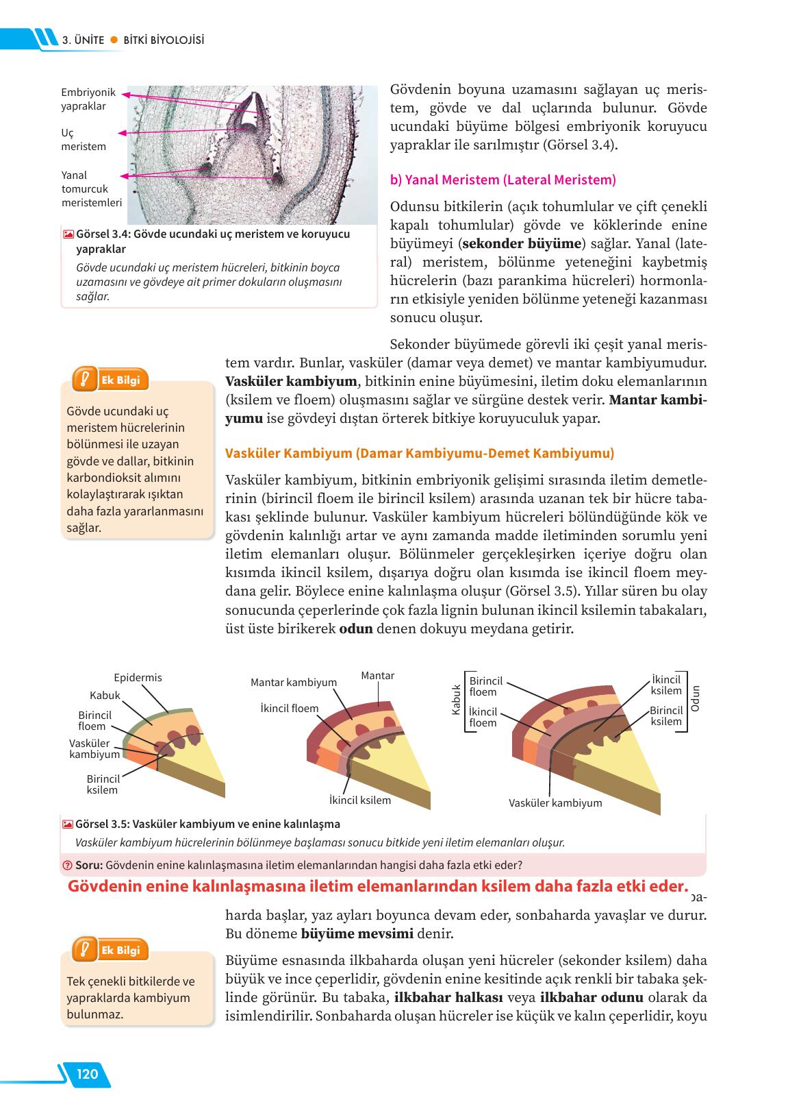 12. Sınıf Meb Yayınları Fen Lisesi Biyoloji Ders Kitabı Sayfa 120 Cevapları