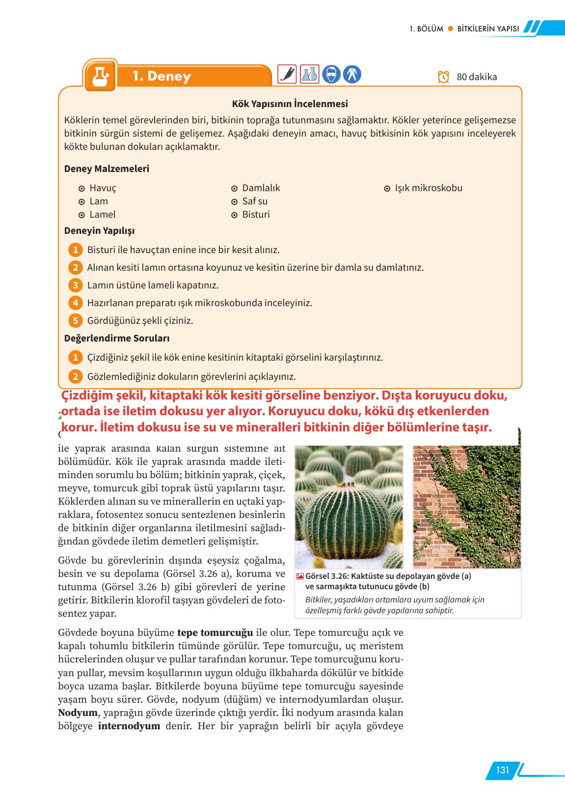 12. Sınıf Meb Yayınları Fen Lisesi Biyoloji Ders Kitabı Sayfa 131 Cevapları