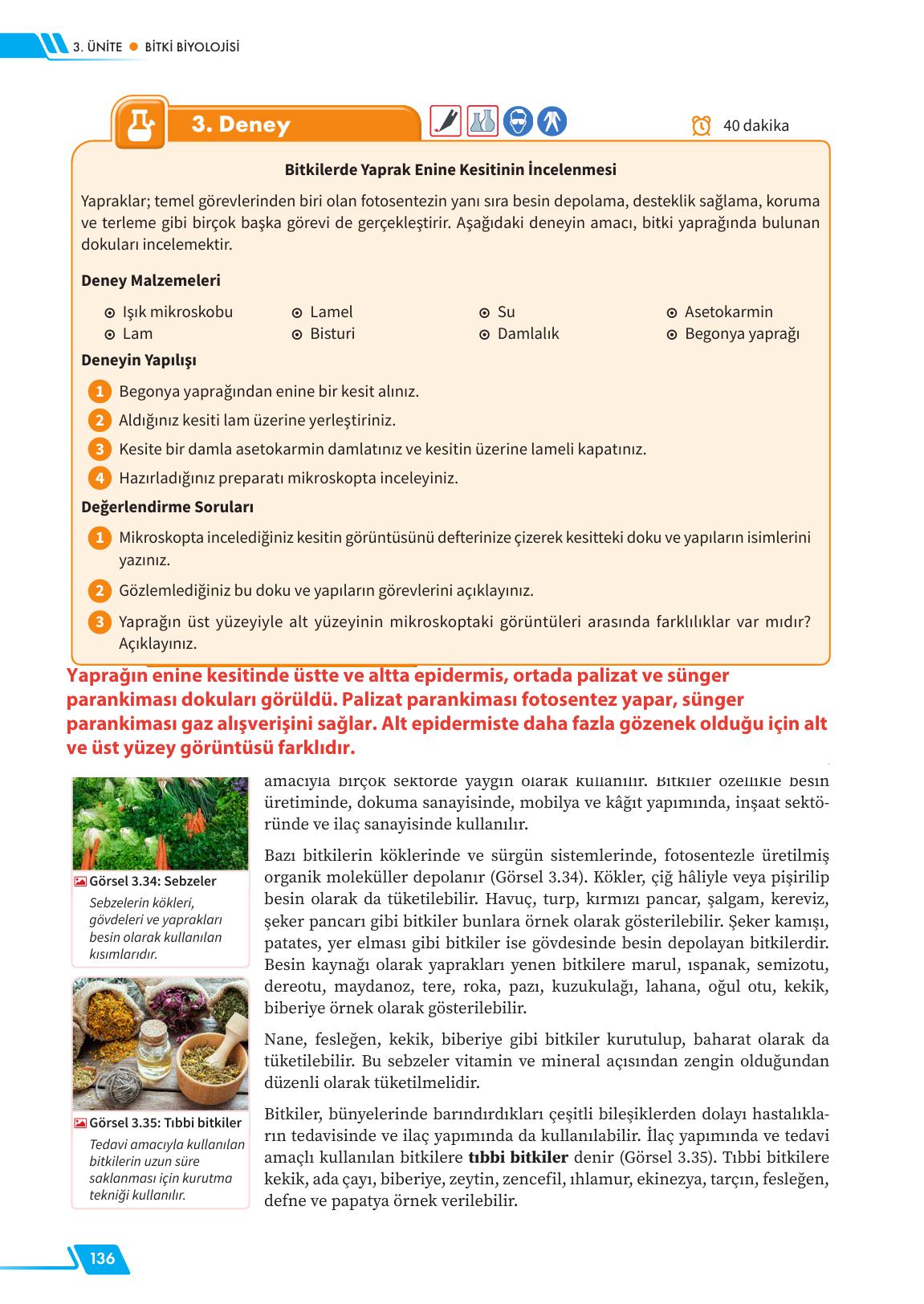 12. Sınıf Meb Yayınları Fen Lisesi Biyoloji Ders Kitabı Sayfa 136 Cevapları 12. Sınıf Meb Yayınları Fen Lisesi Biyoloji Ders Kitabı Sayfa 136 Cevapları