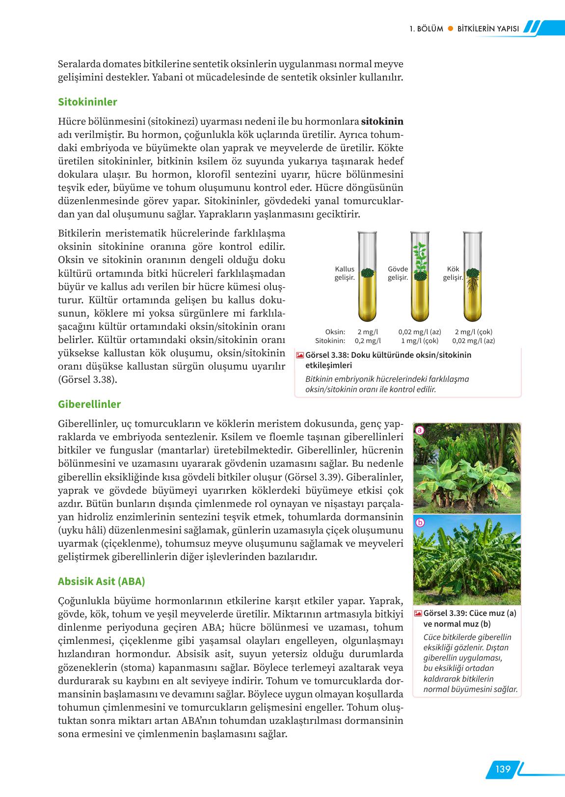 12. Sınıf Meb Yayınları Fen Lisesi Biyoloji Ders Kitabı Sayfa 139 Cevapları