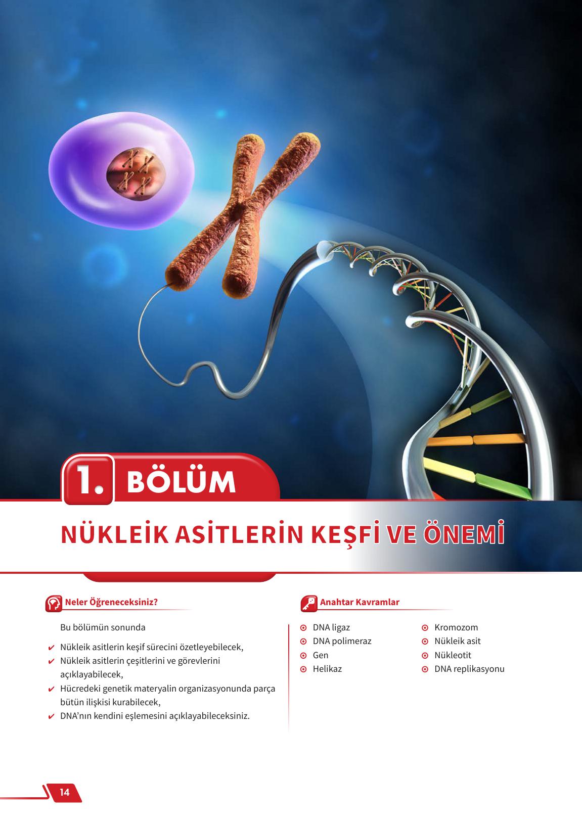 12. Sınıf Meb Yayınları Fen Lisesi Biyoloji Ders Kitabı Sayfa 14 Cevapları
